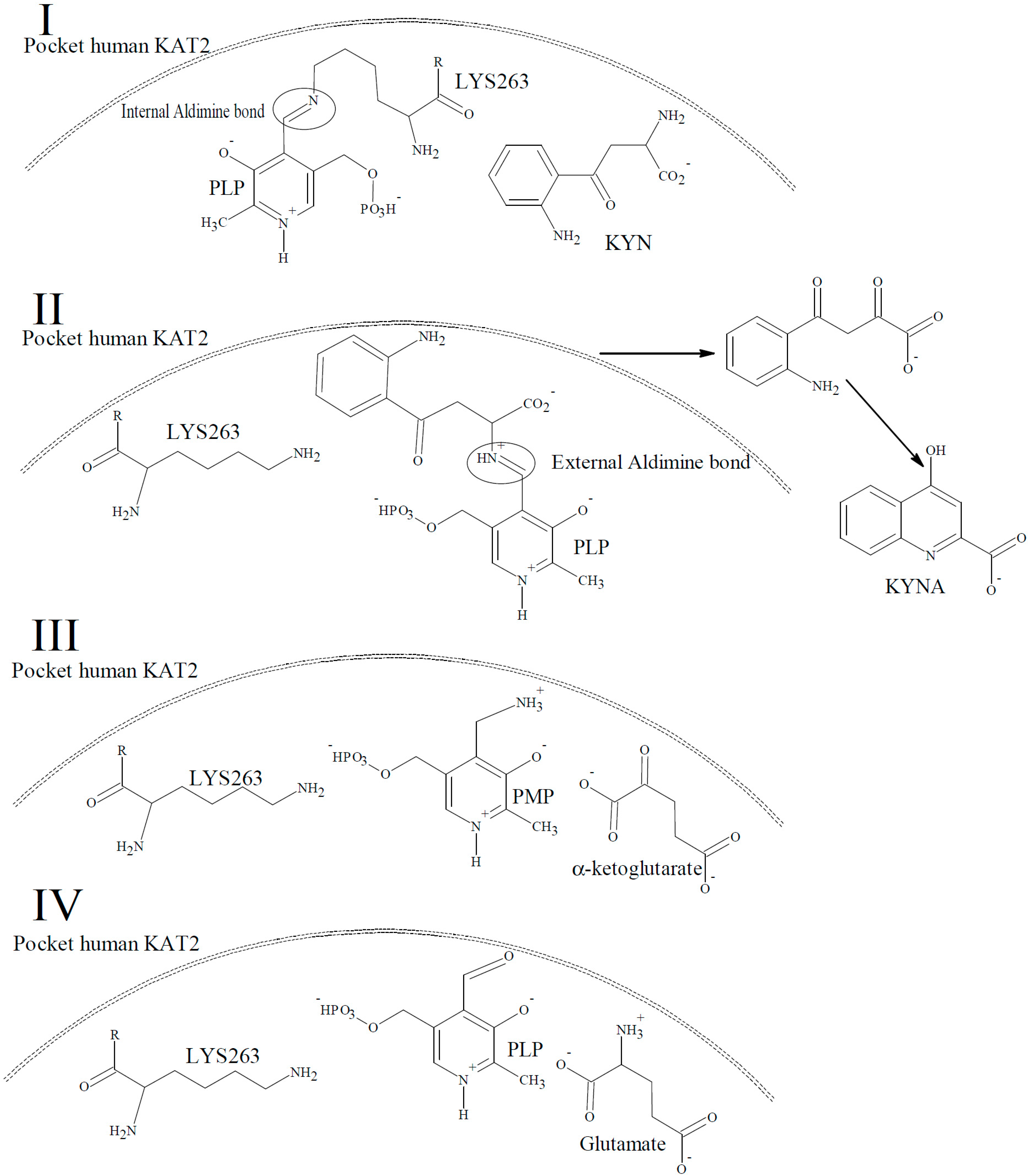 Molecules 21 00856 g002