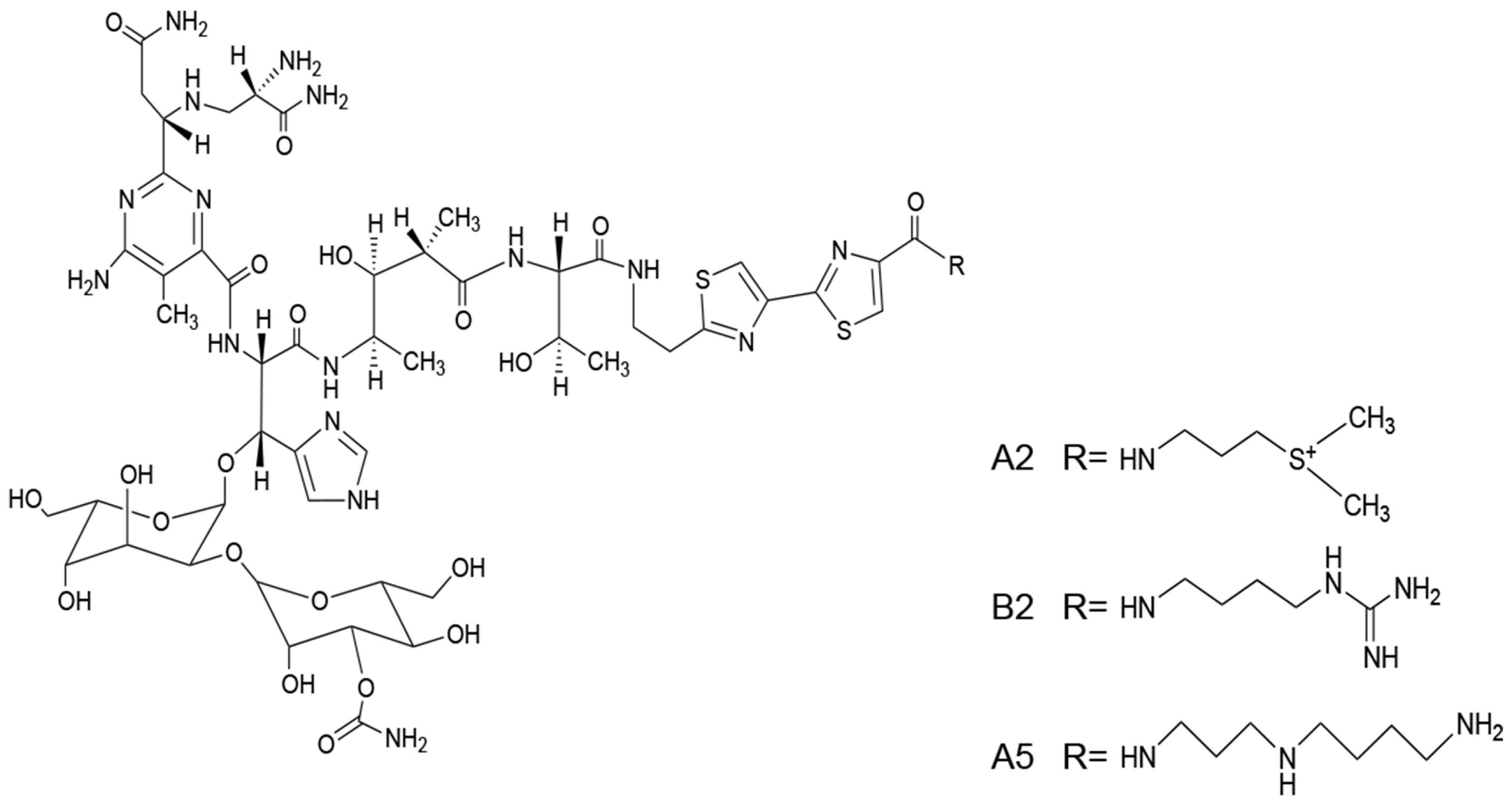Molecules 21 00862 g001