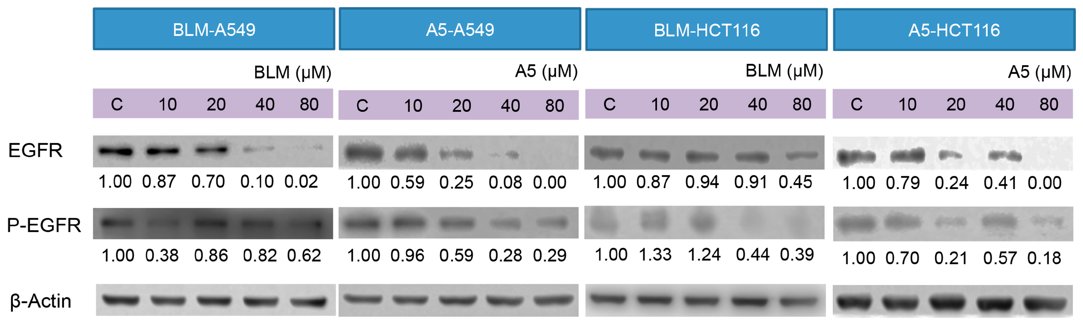 Molecules 21 00862 g006