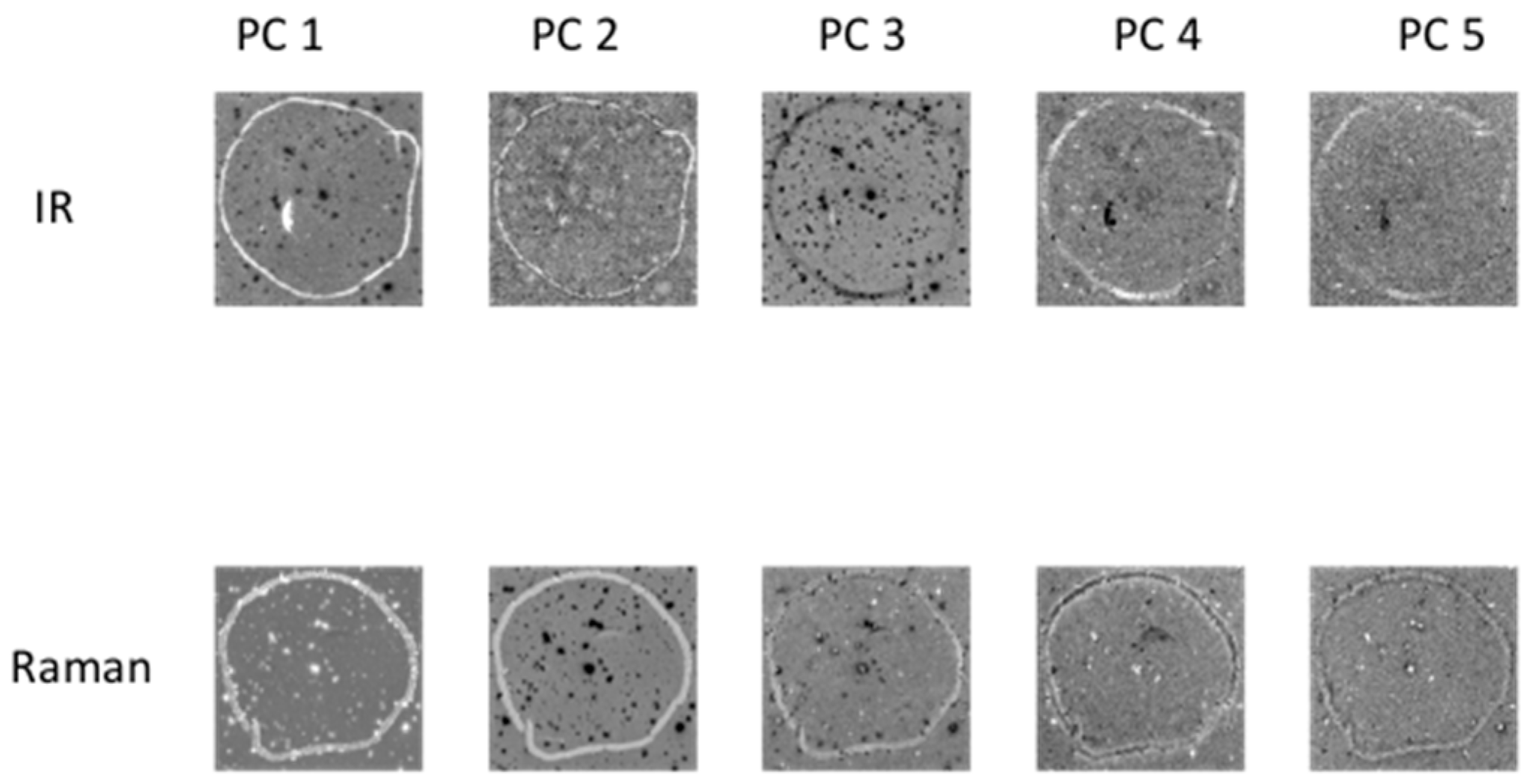Molecules 21 00870 g003