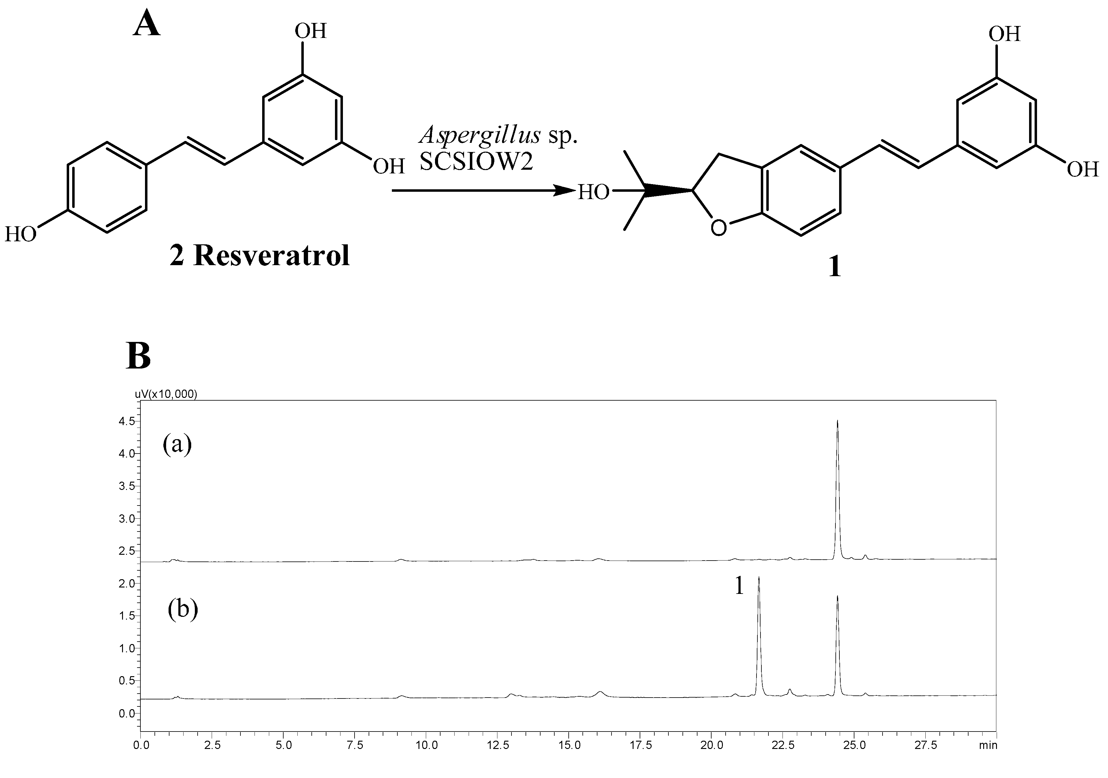 Molecules 21 00883 g001 550