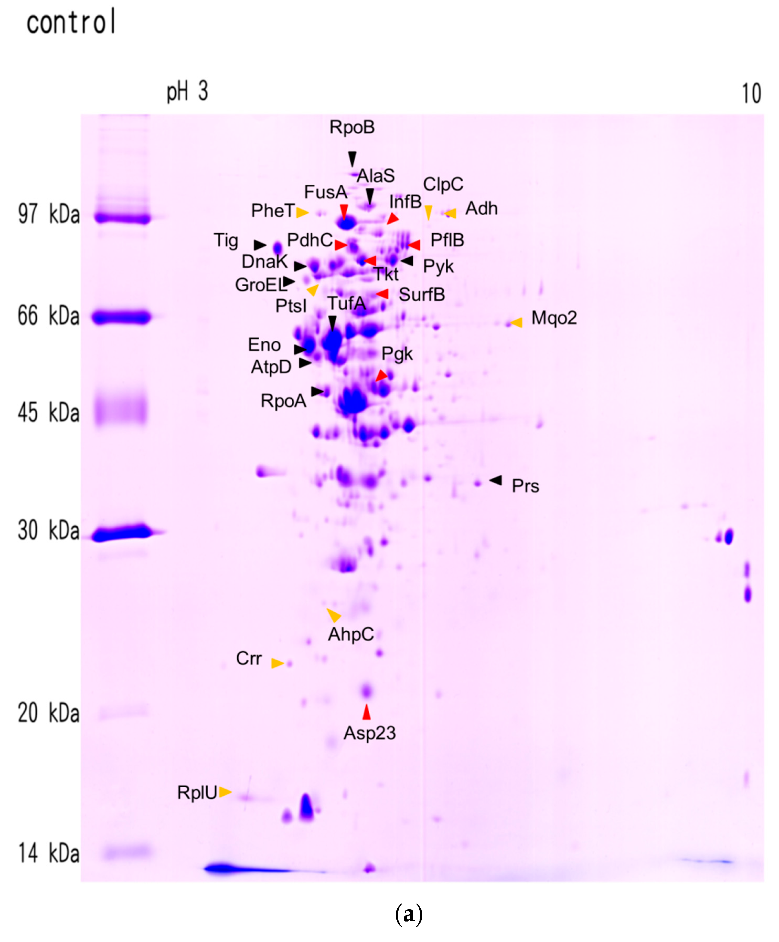 Molecules 21 00884 g002a 550