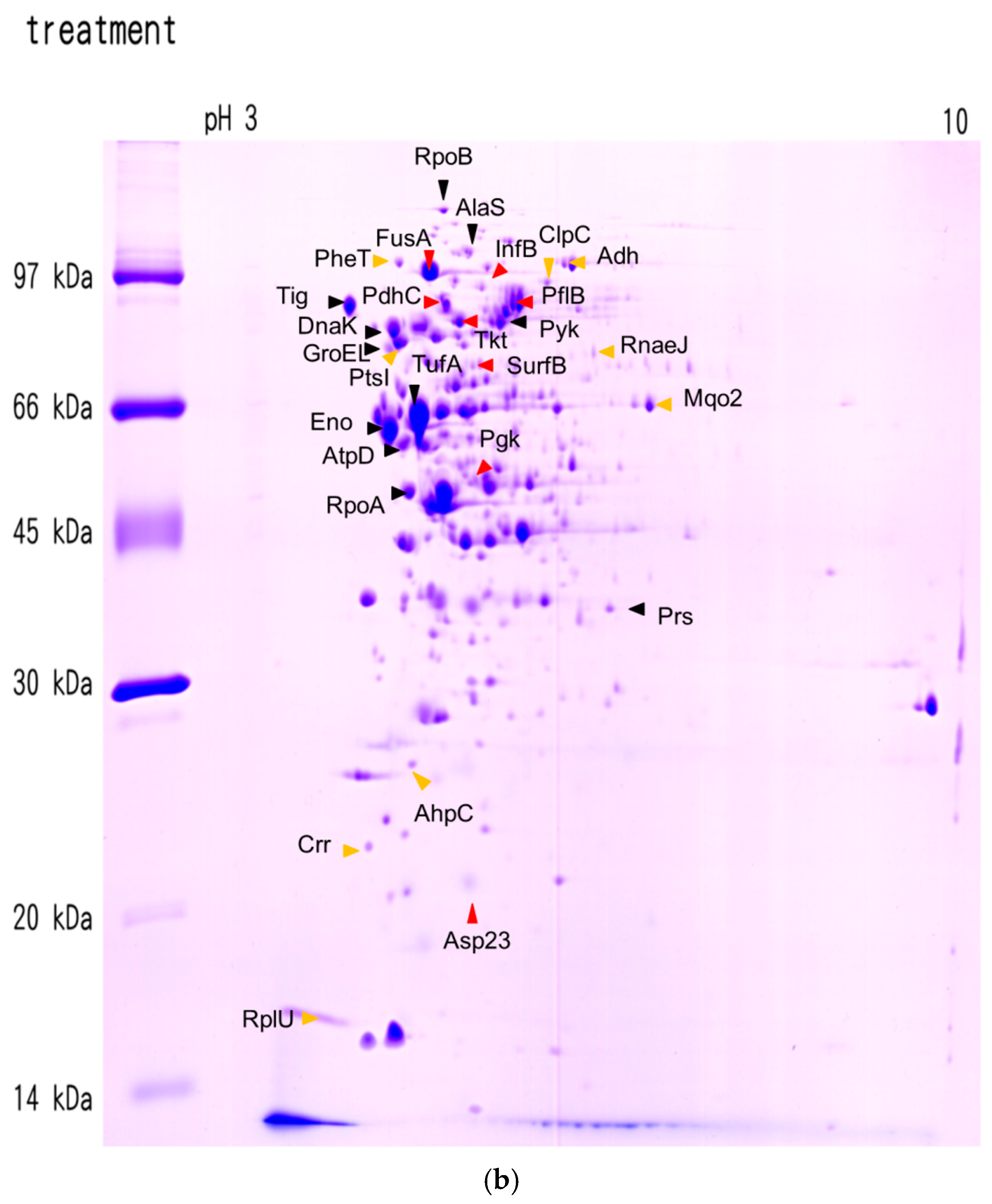 Molecules 21 00884 g002b 550