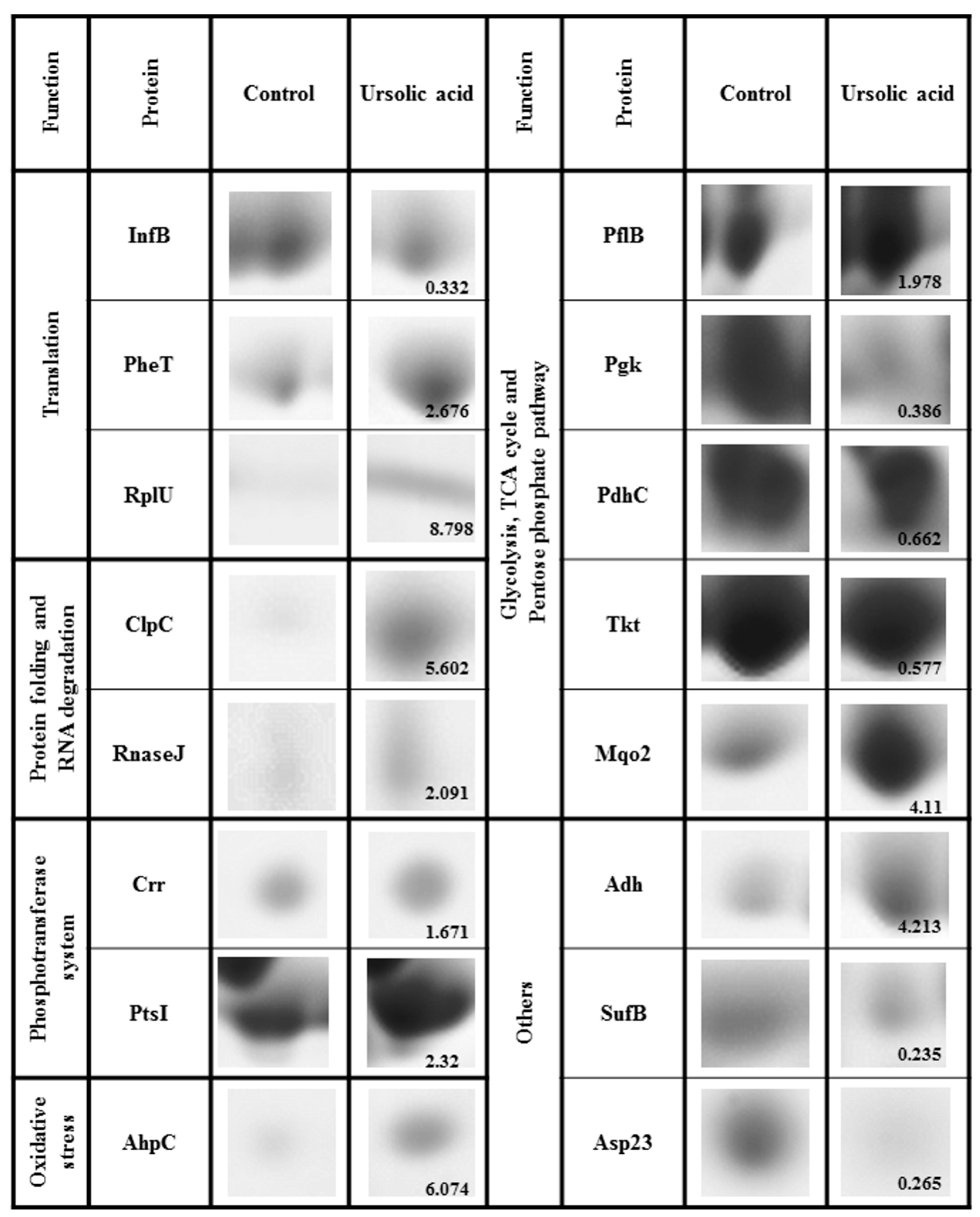 Molecules 21 00884 g003 550