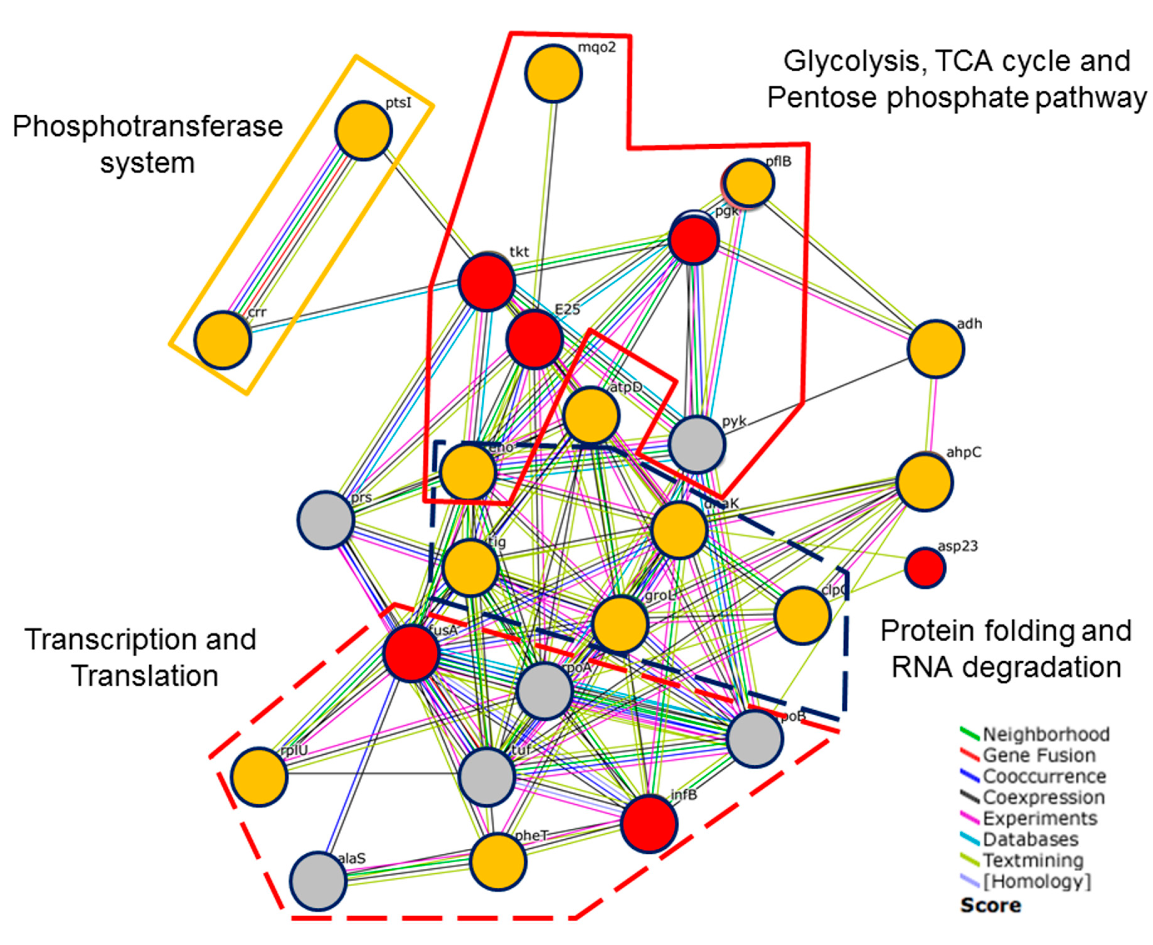 Molecules 21 00884 g004 550