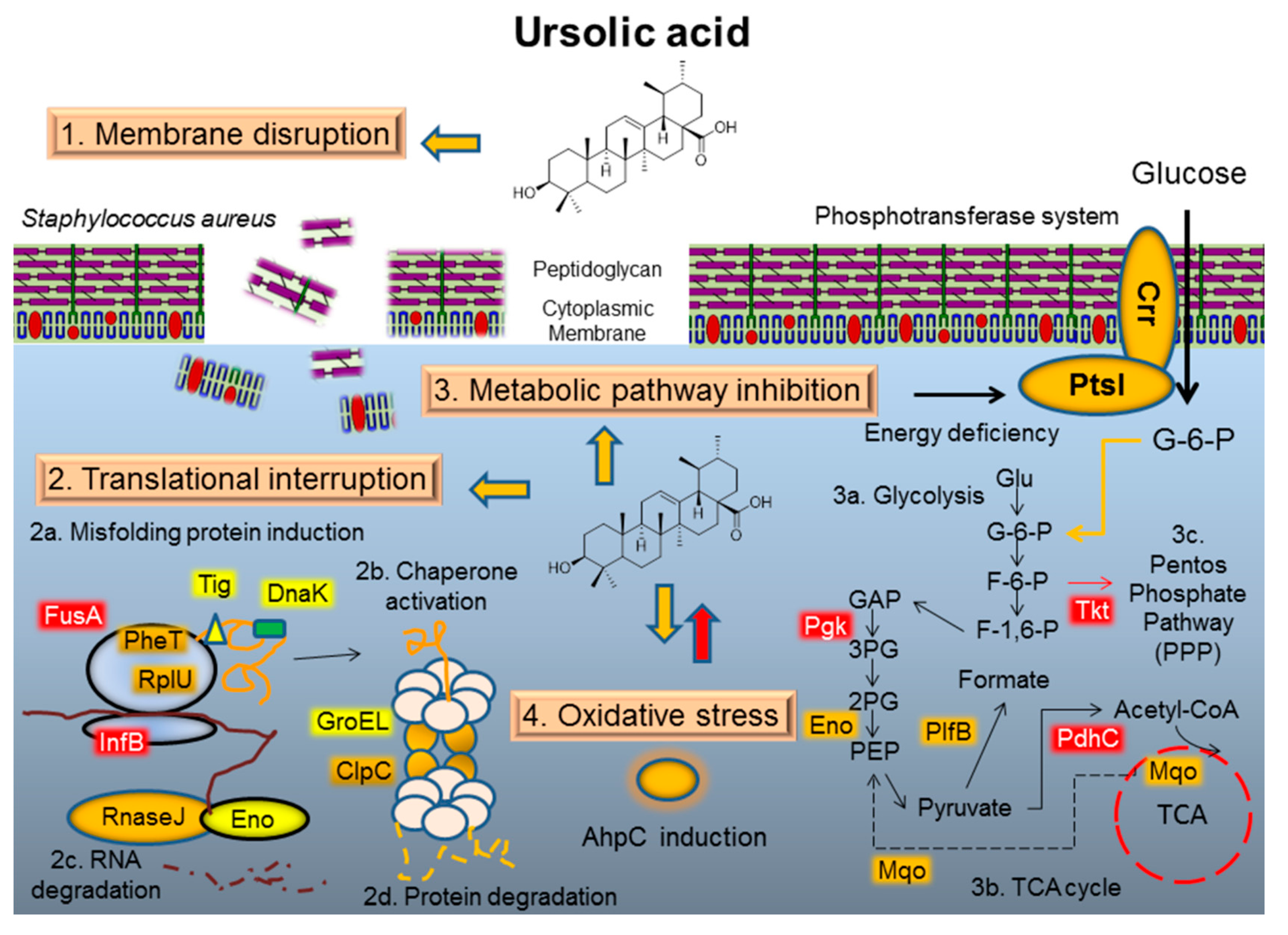 Molecules 21 00884 g005 550