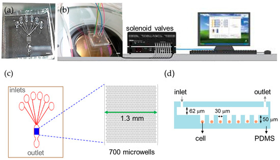 A High-Throughput Automated Microfluidic Platform for