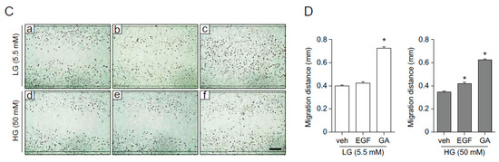 Molecules Free Full Text Gallic Acid Promotes Wound Healing In Normal And Hyperglucidic Conditions Html