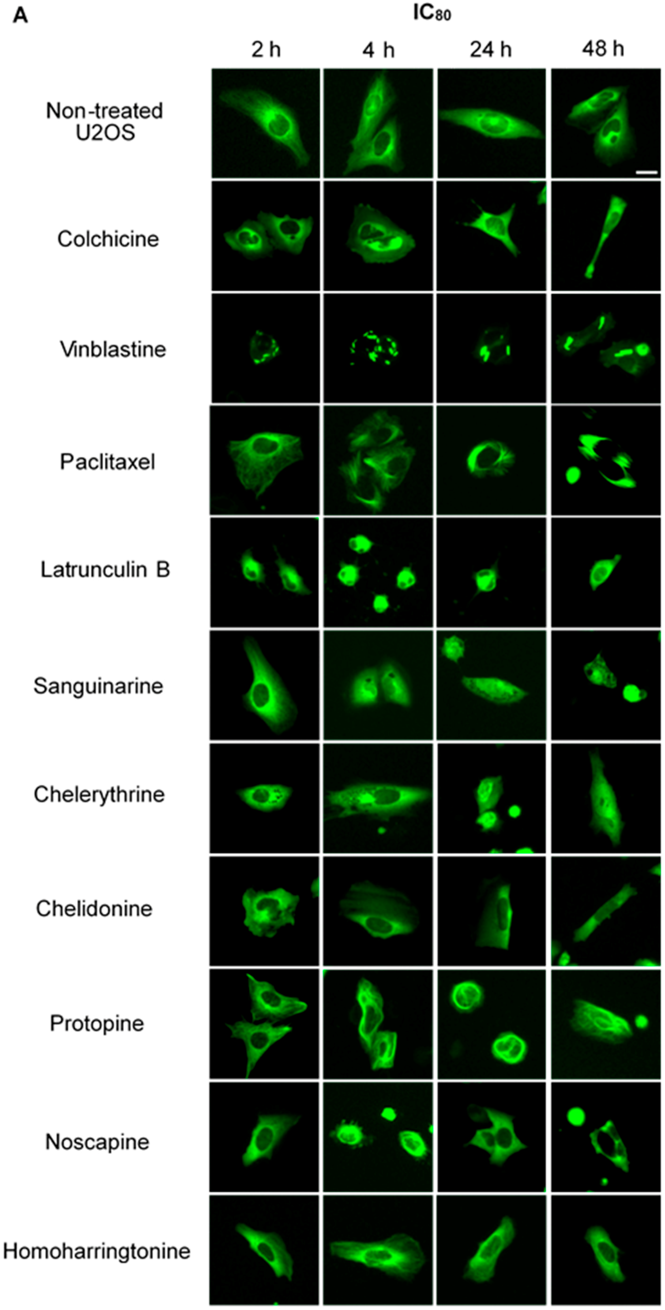 Molecules 21 00906 g002a