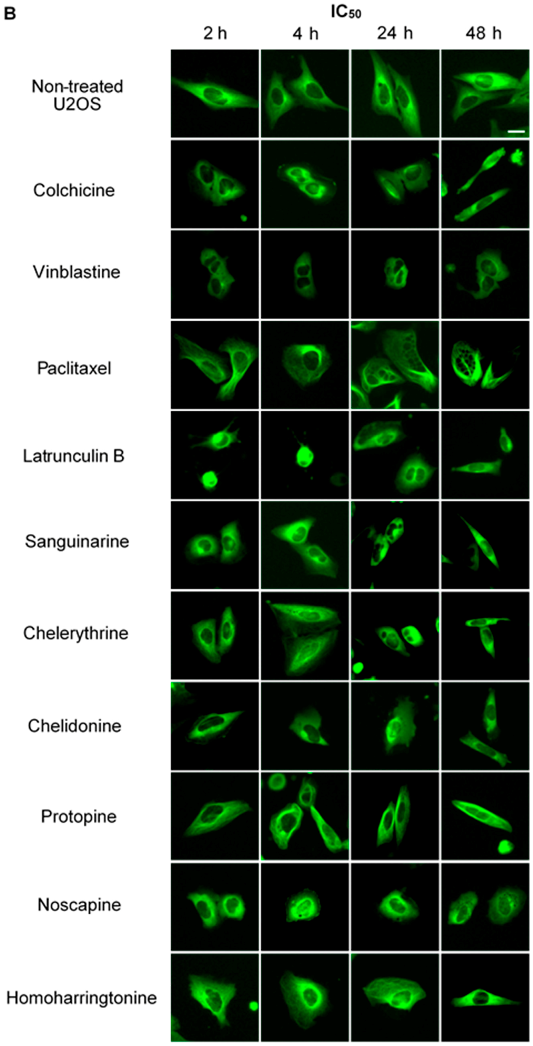 Molecules 21 00906 g002b