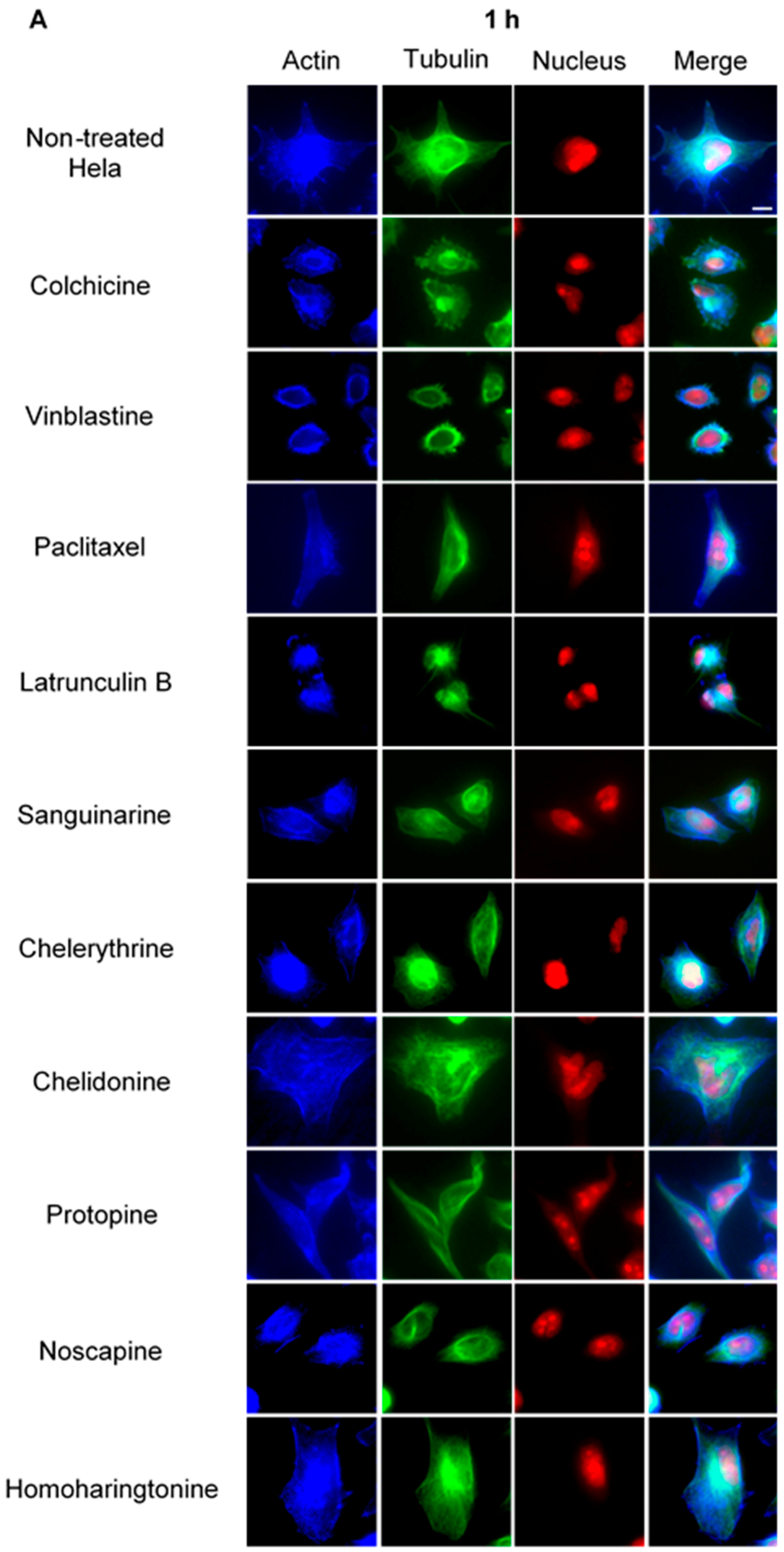 Molecules 21 00906 g003a