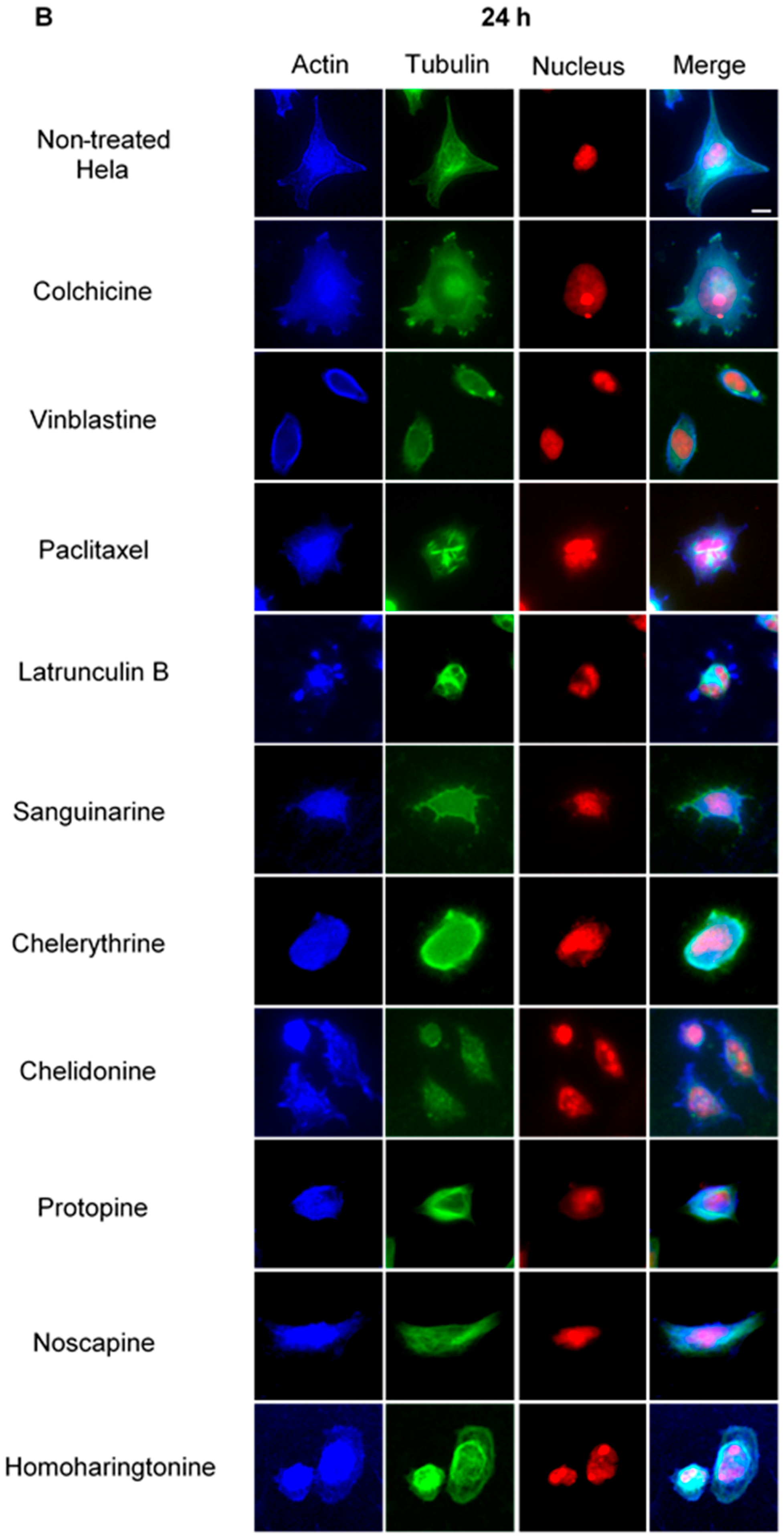 Molecules 21 00906 g003b