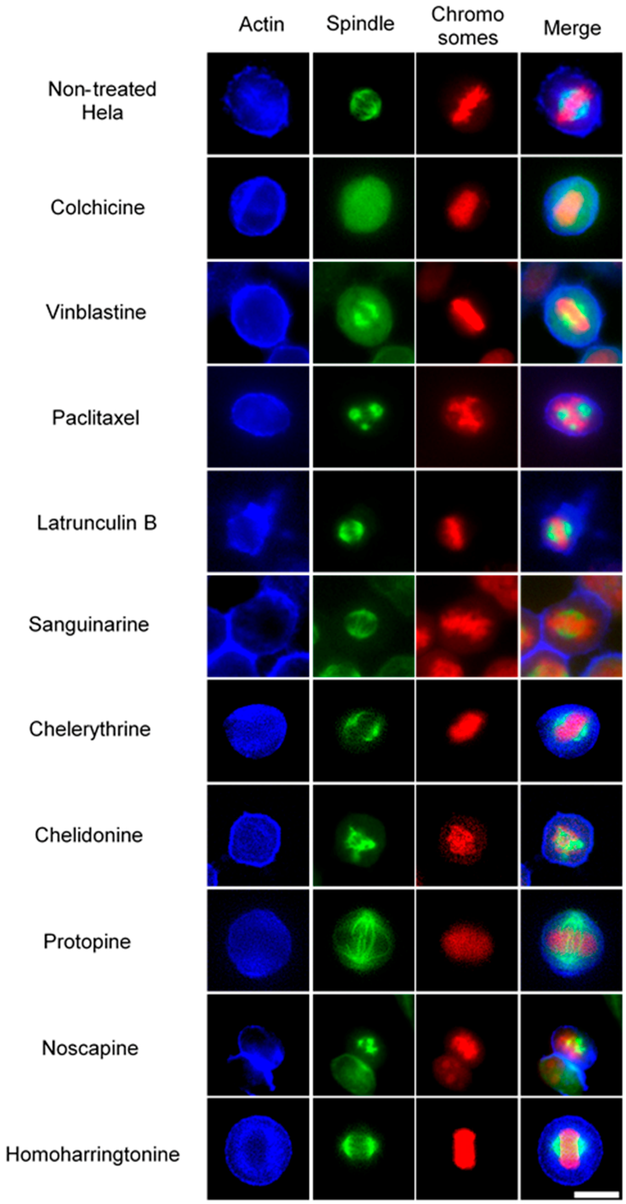 Molecules 21 00906 g004