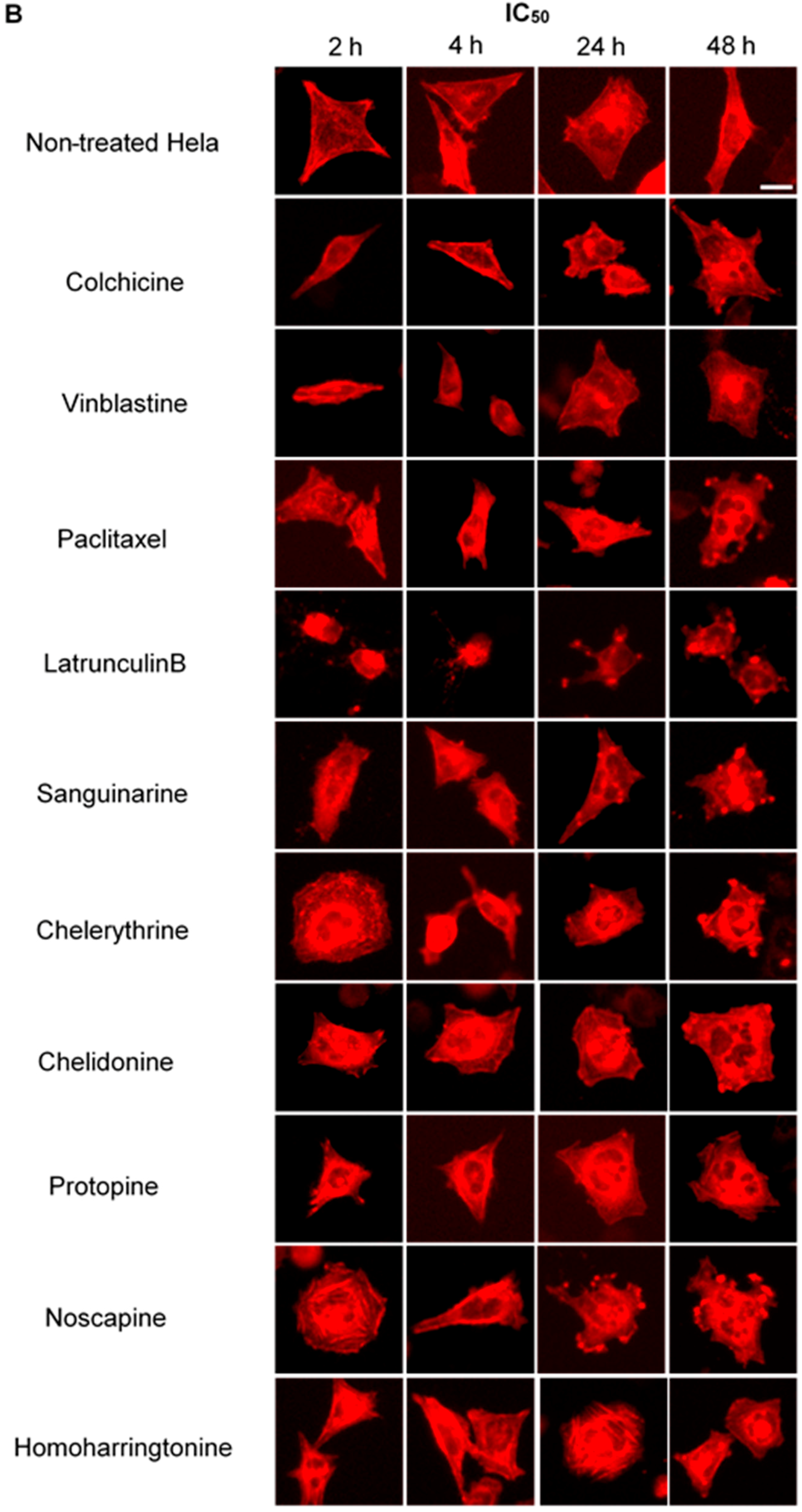 Molecules 21 00906 g006b