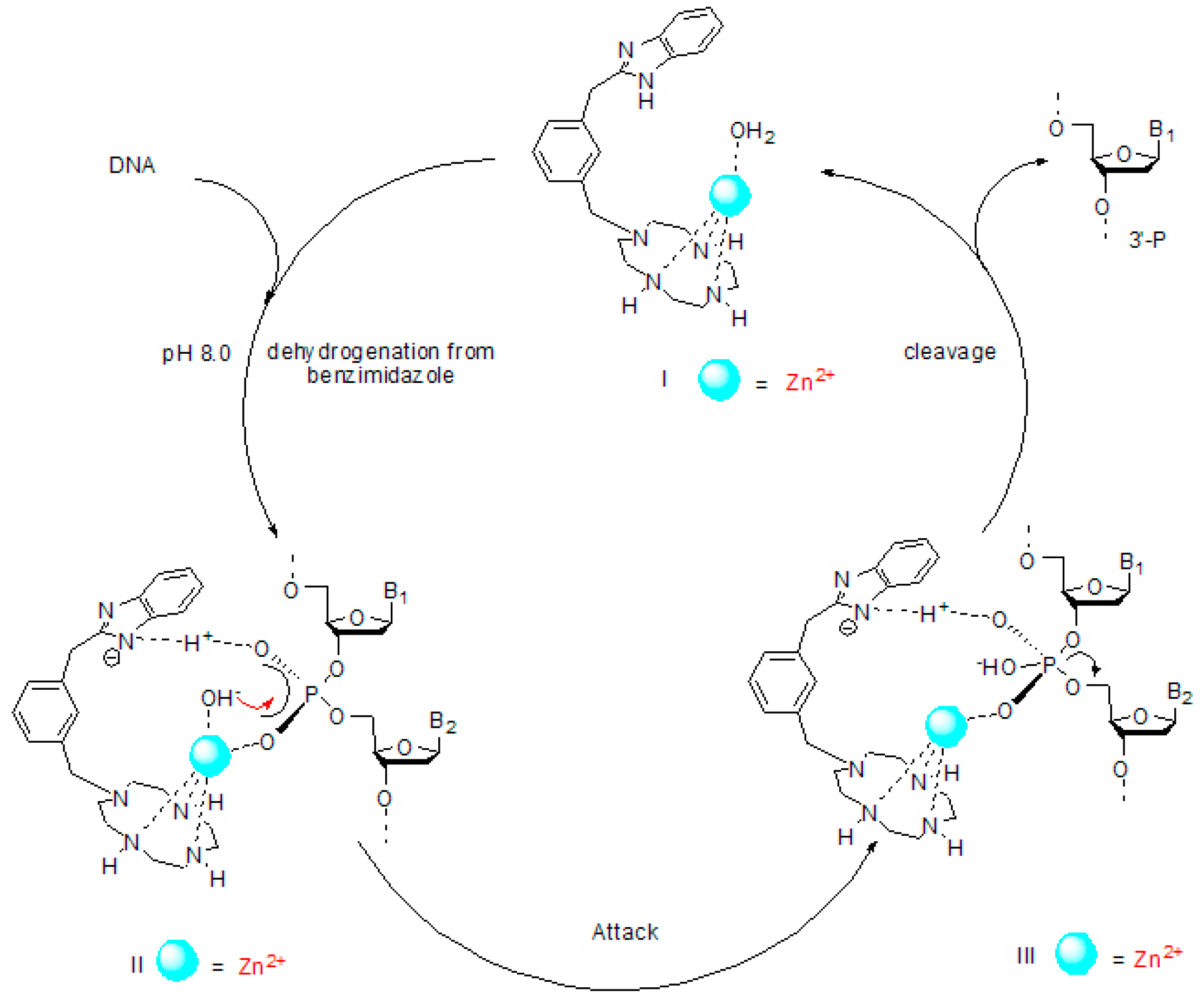 Molecules 21 00920 sch002
