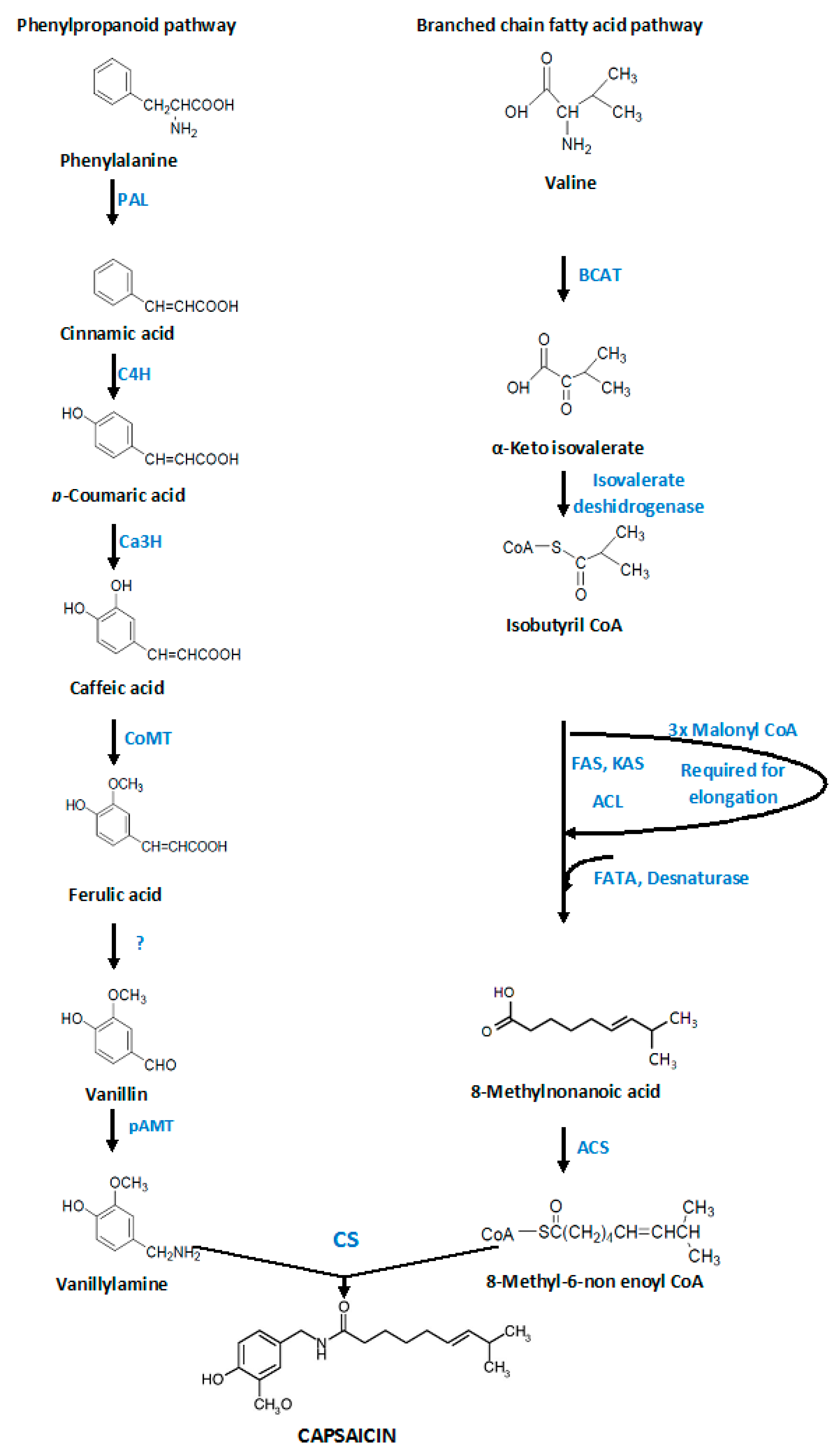 Molecules 21 00931 g002