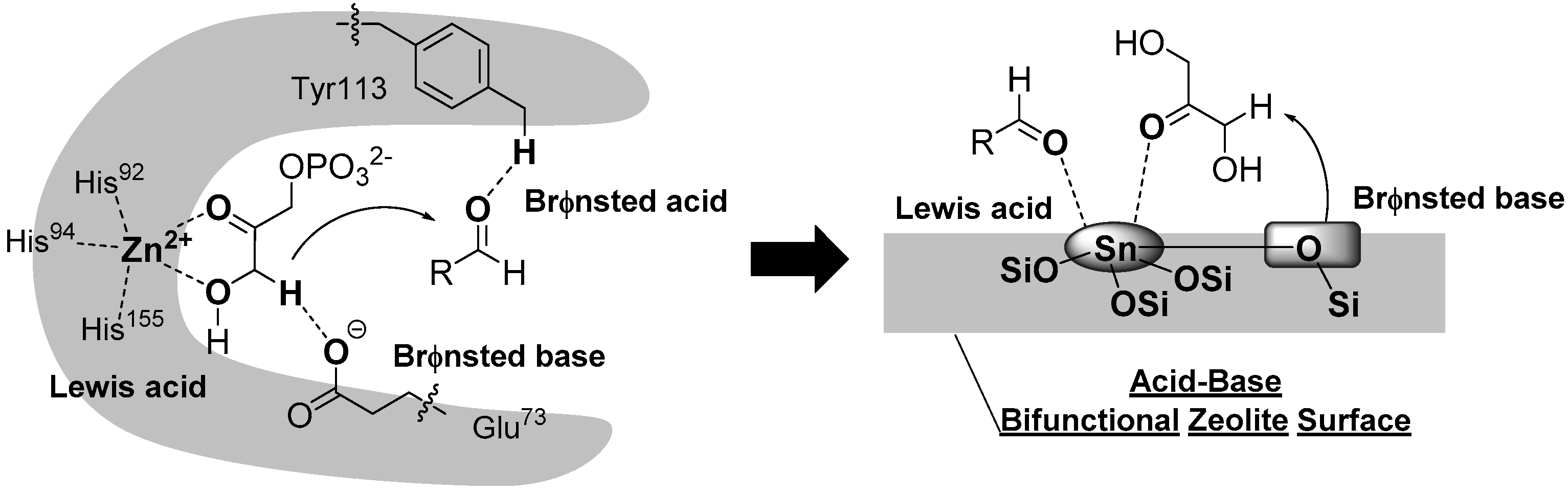 Molecules 21 00937 g001