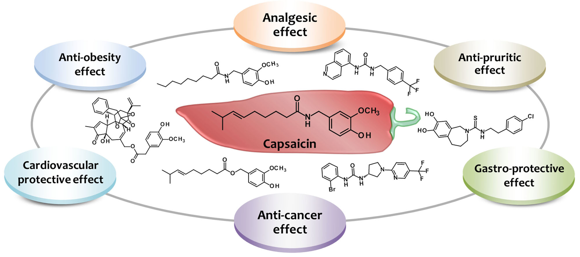Molecules Free Full Text Harnessing The Therapeutic Potential Of molecules-free-full-text-harnessing-the-therapeutic-potential-of