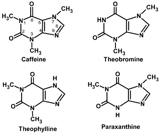 Molecules Free Full Text Structure Bioactivity Relationships Of Methylxanthines Trying To Make Sense Of All The Promises And The Drawbacks Html