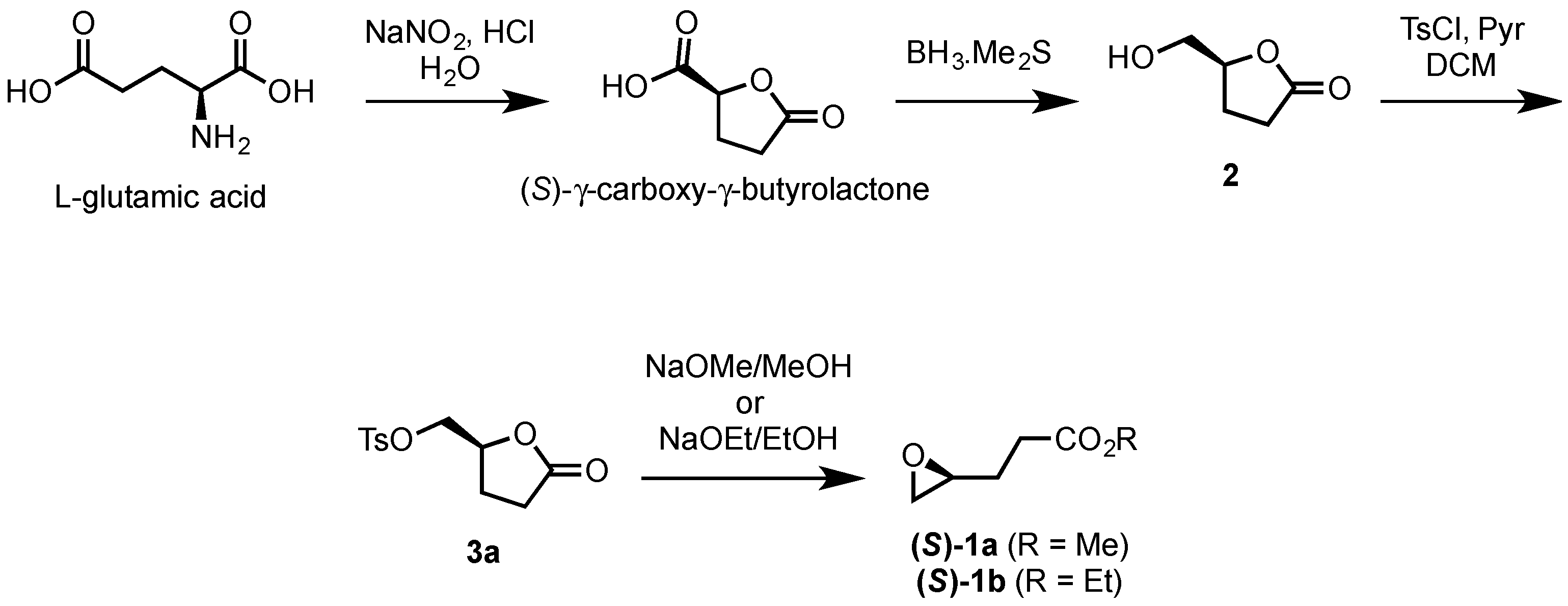 Molecules 21 00988 sch001 550