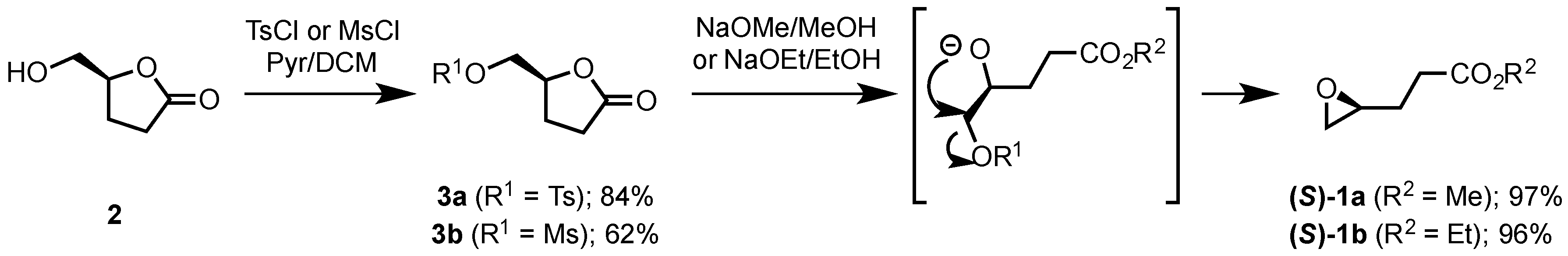 Molecules 21 00988 sch005 550
