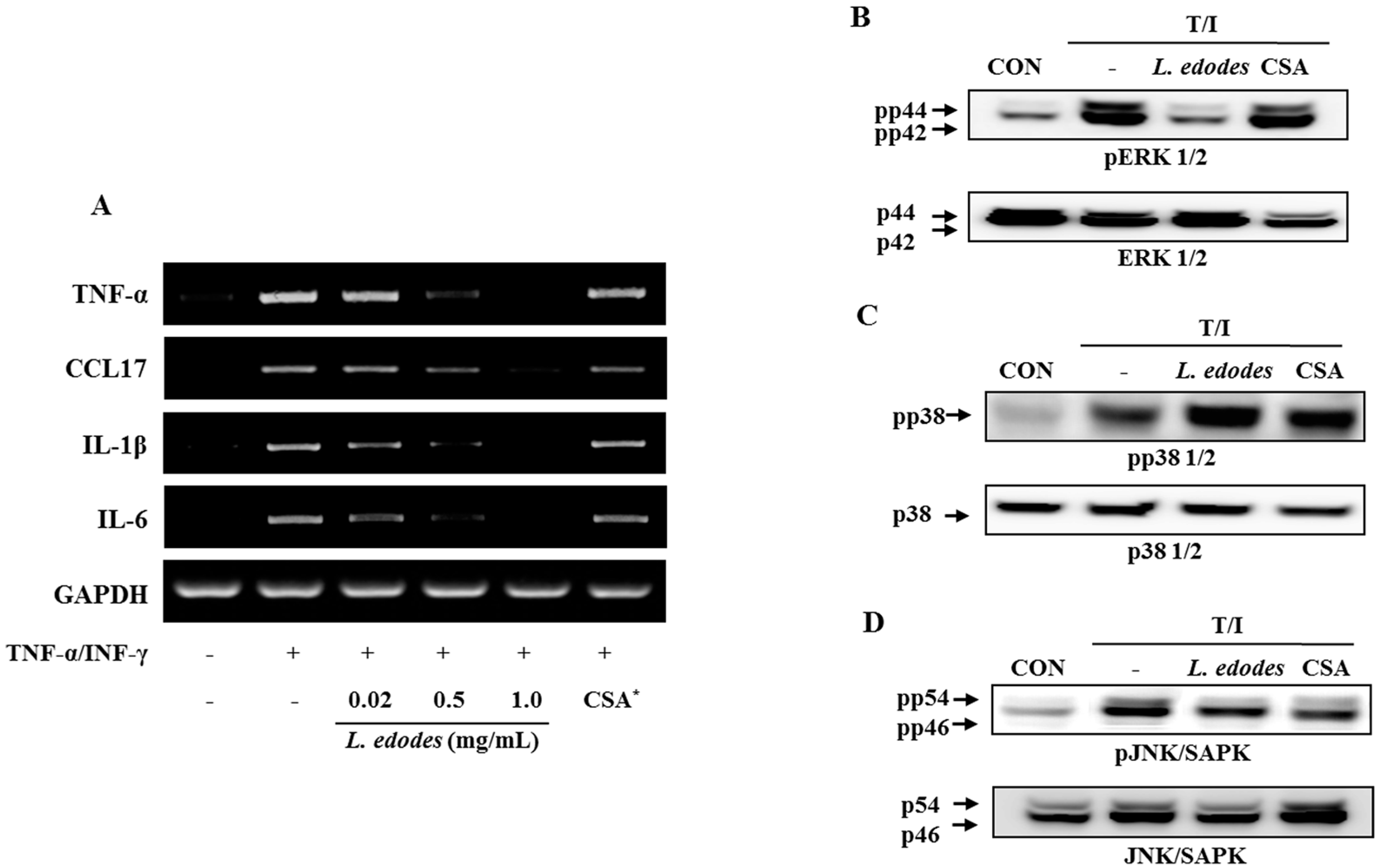 Molecules 21 00993 g002