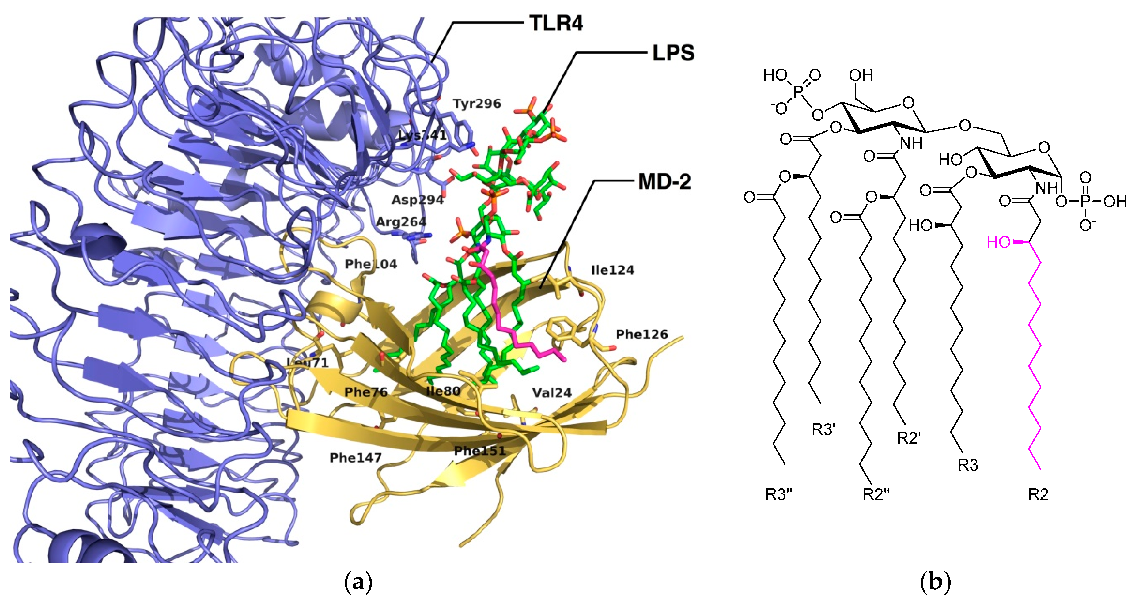 Molecules 21 00994 g003
