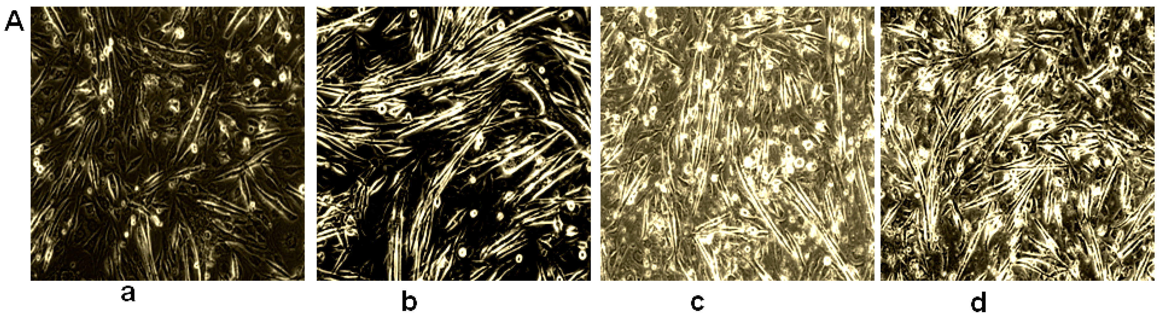 Molecules 21 00997 g002a 550