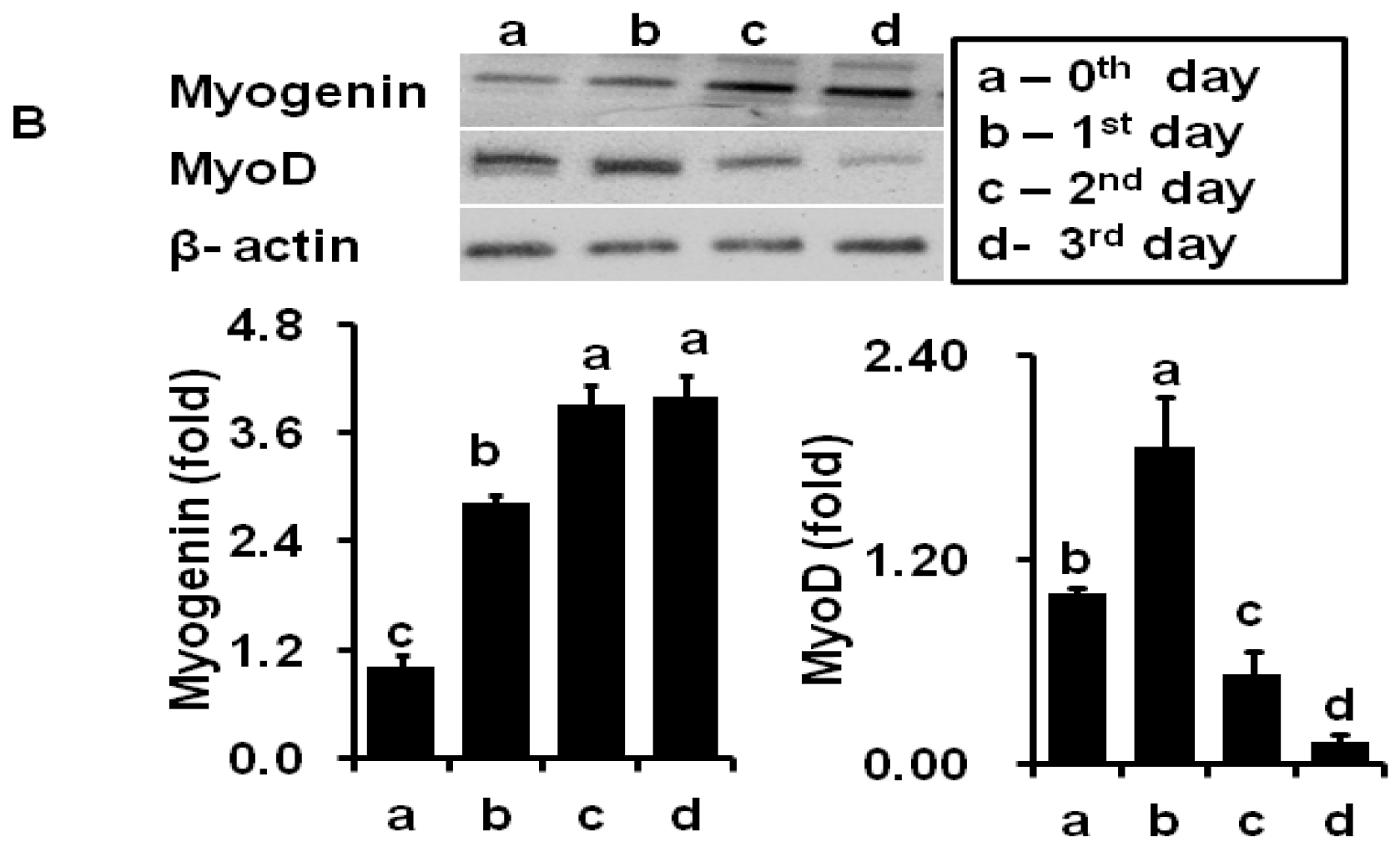 Molecules 21 00997 g002b 550
