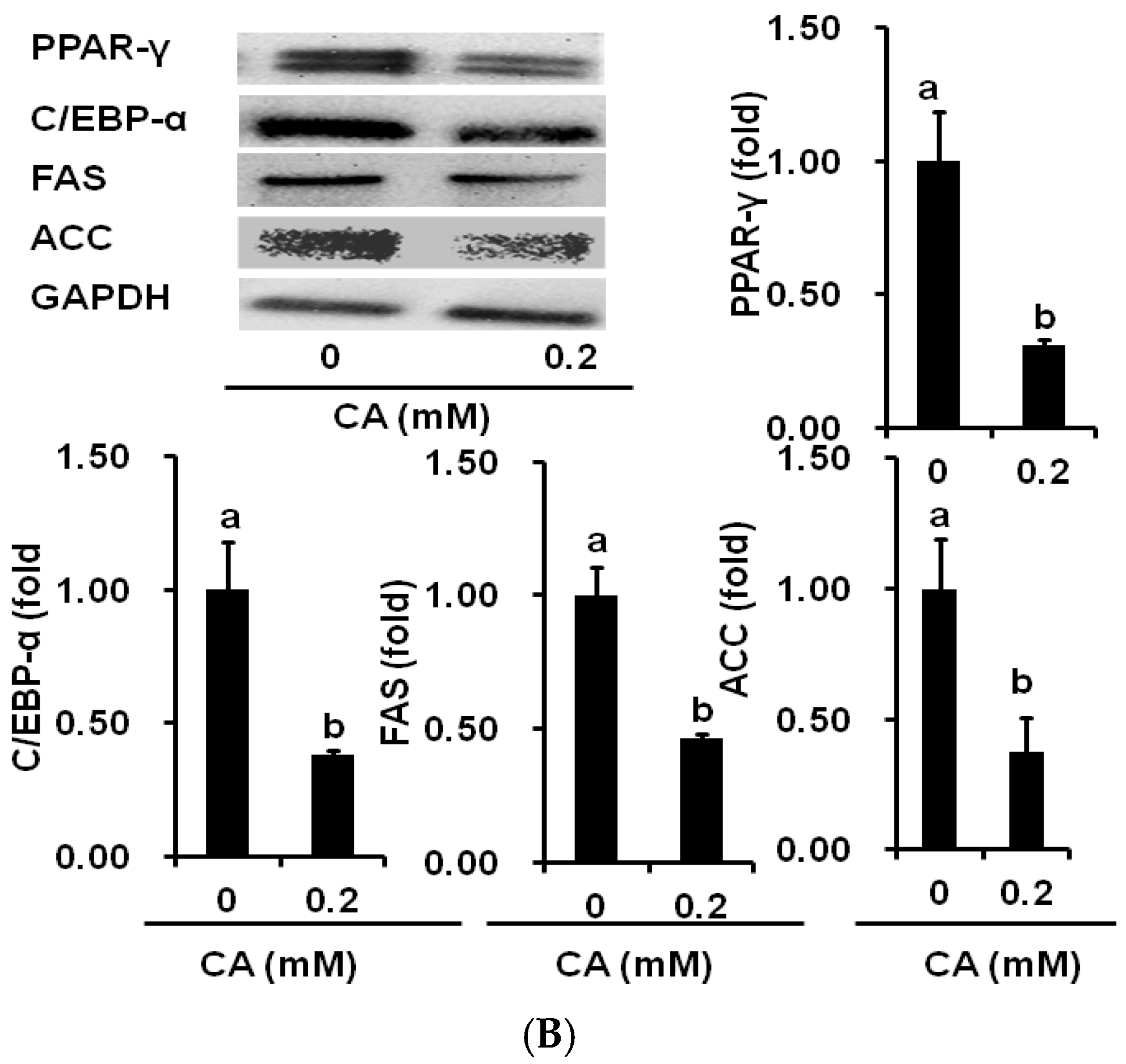 Molecules 21 00997 g005b 550