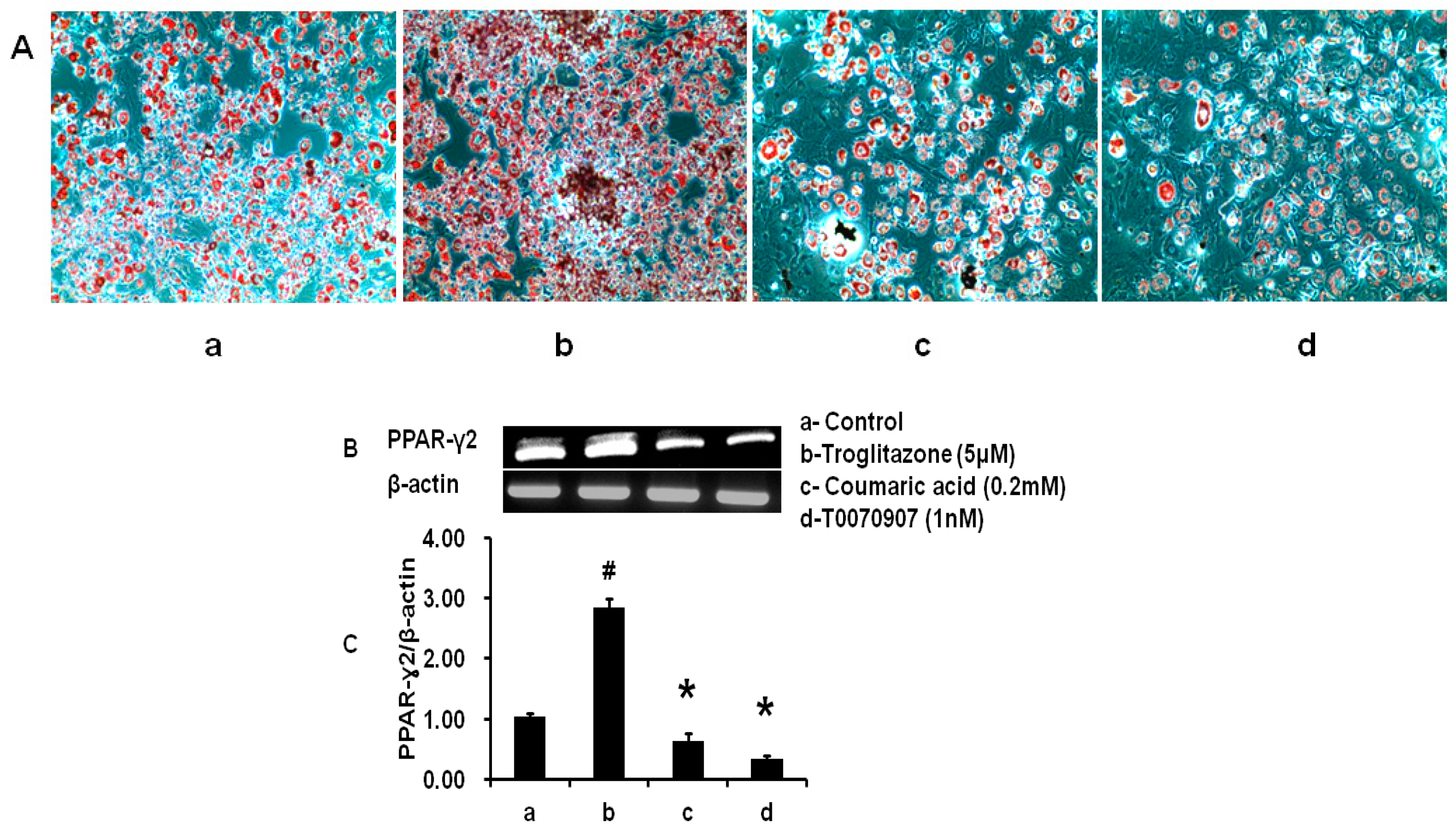Molecules 21 00997 g006 550