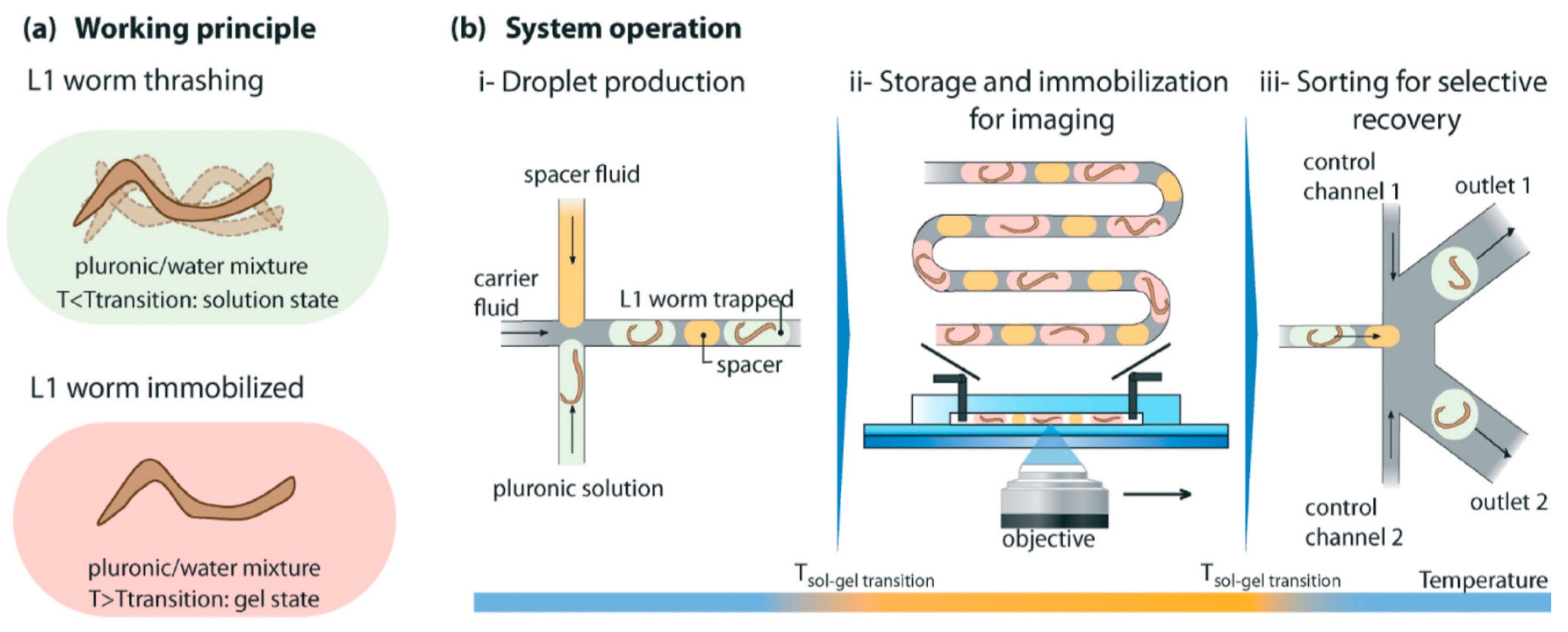 Molecules 21 01006 g003