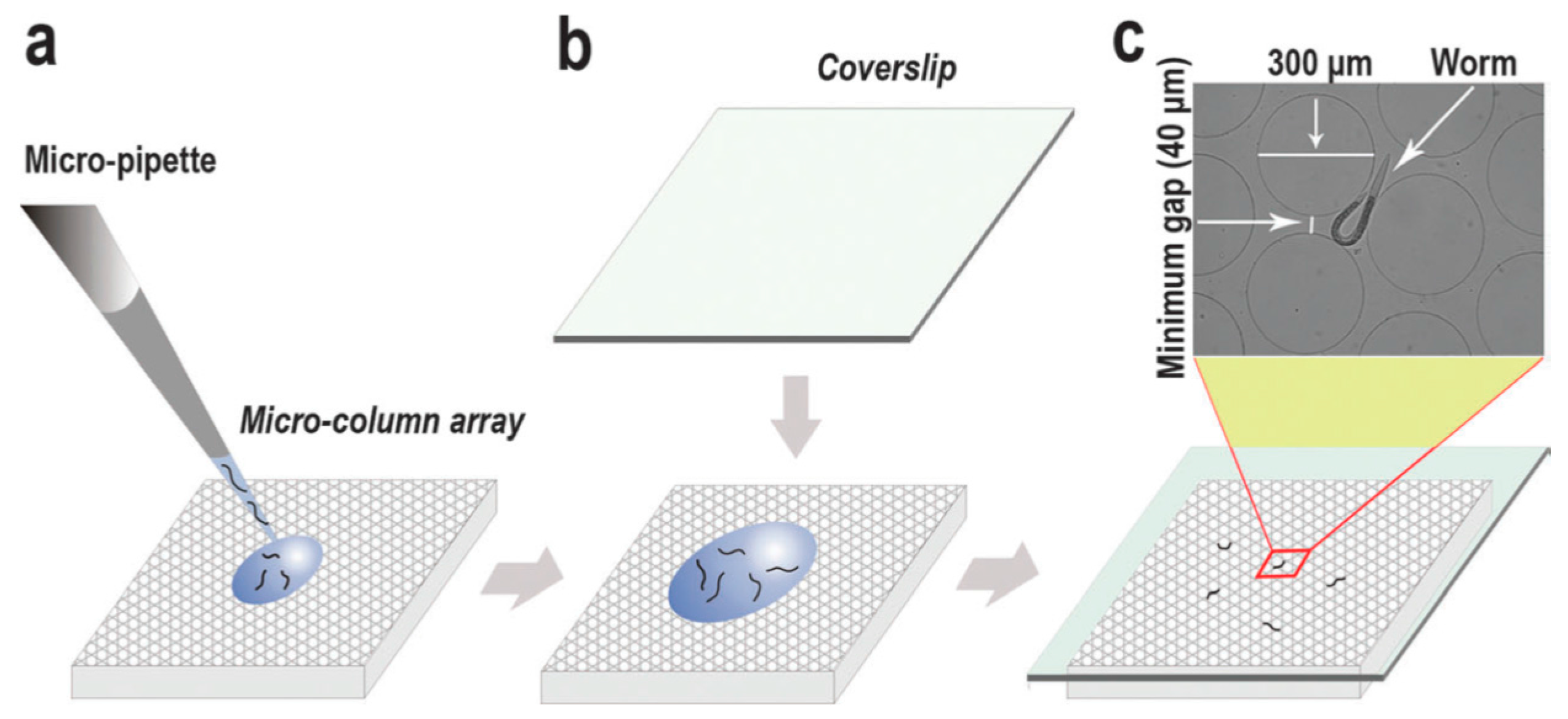 Molecules 21 01006 g008