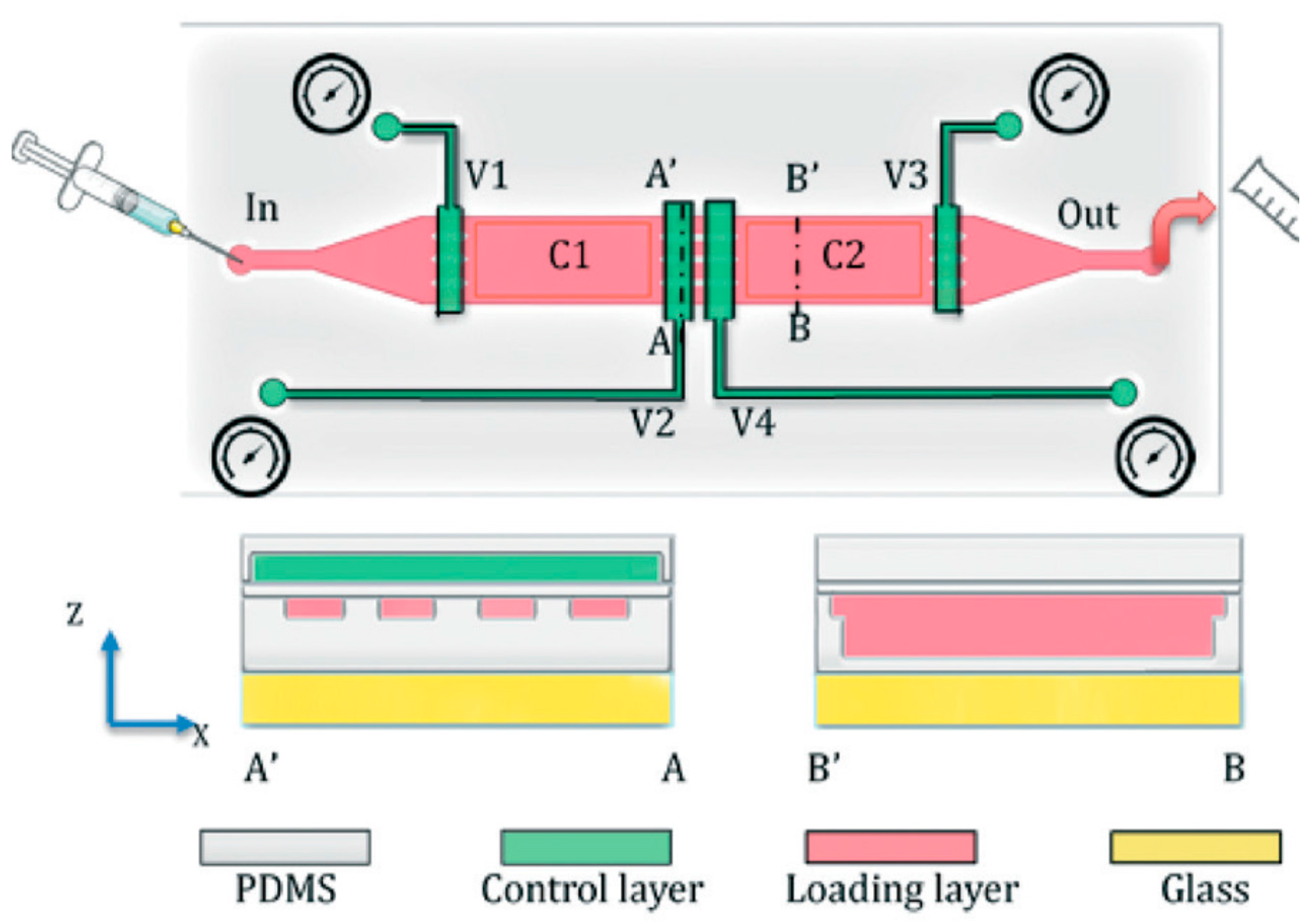 Molecules 21 01006 g011