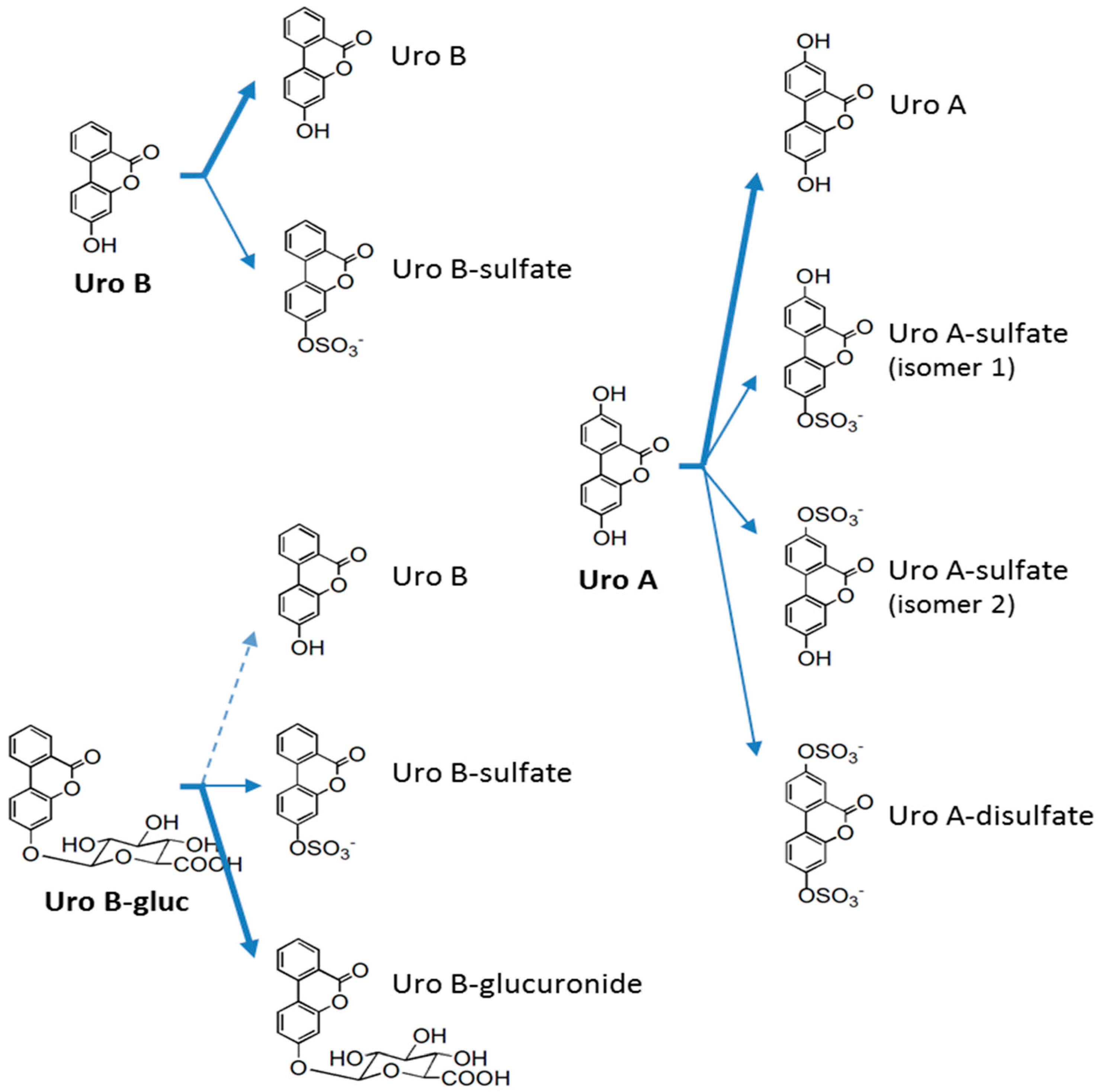 Molecules 21 01009 g003