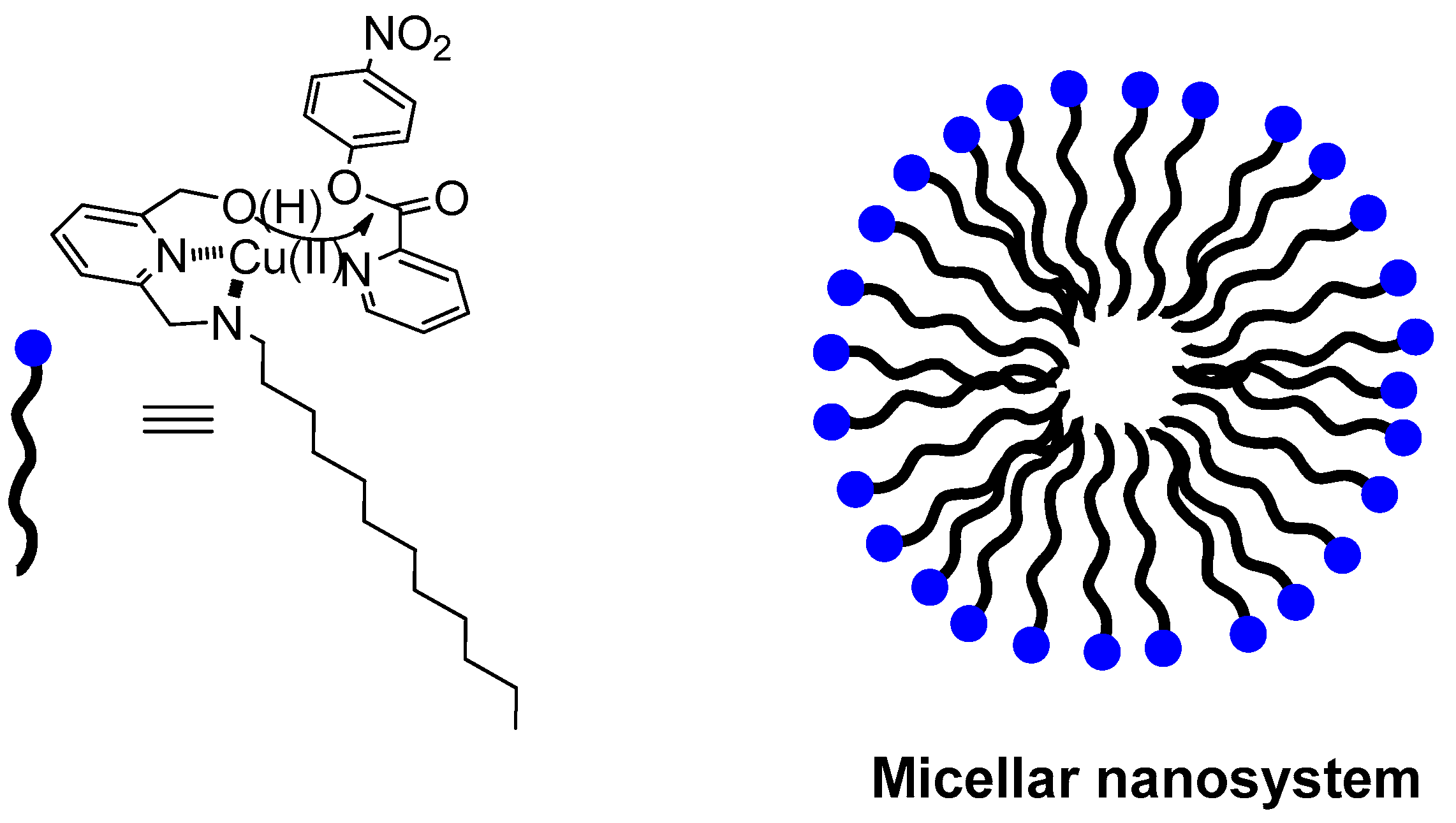 Molecules 21 01014 g001
