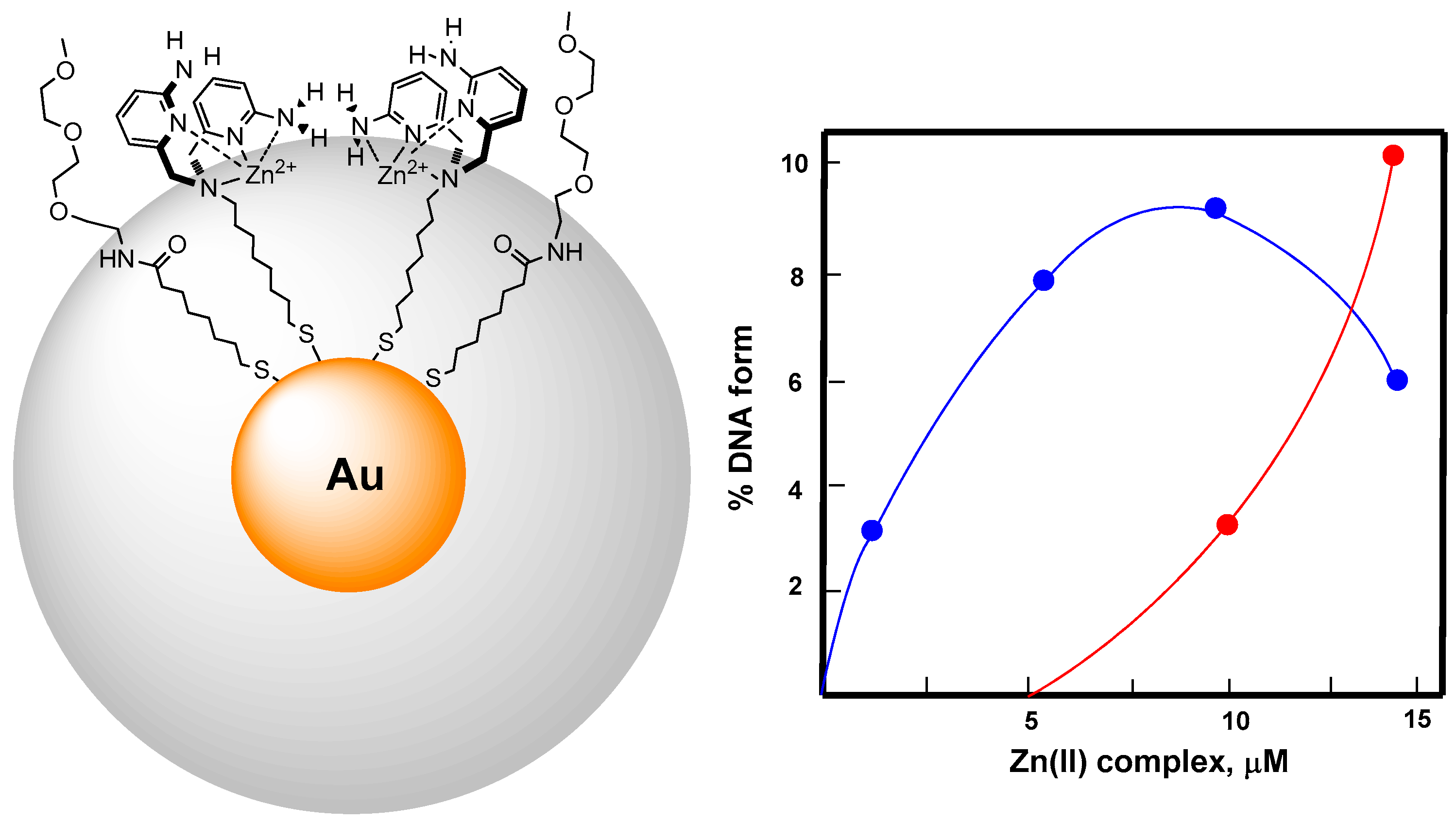 Molecules 21 01014 g007