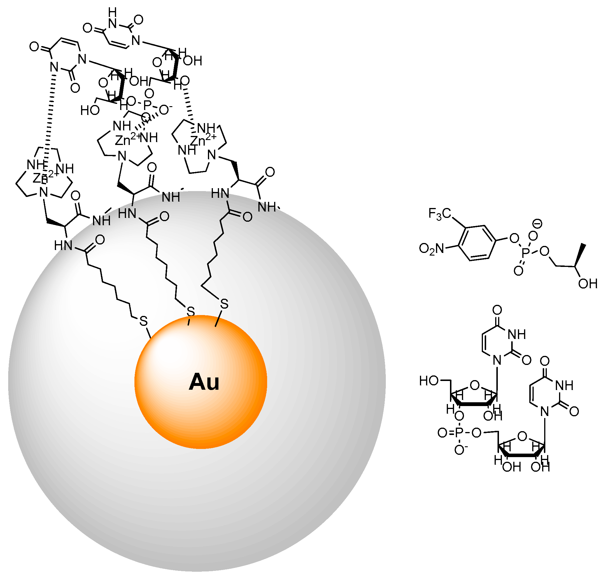 Molecules 21 01014 g009