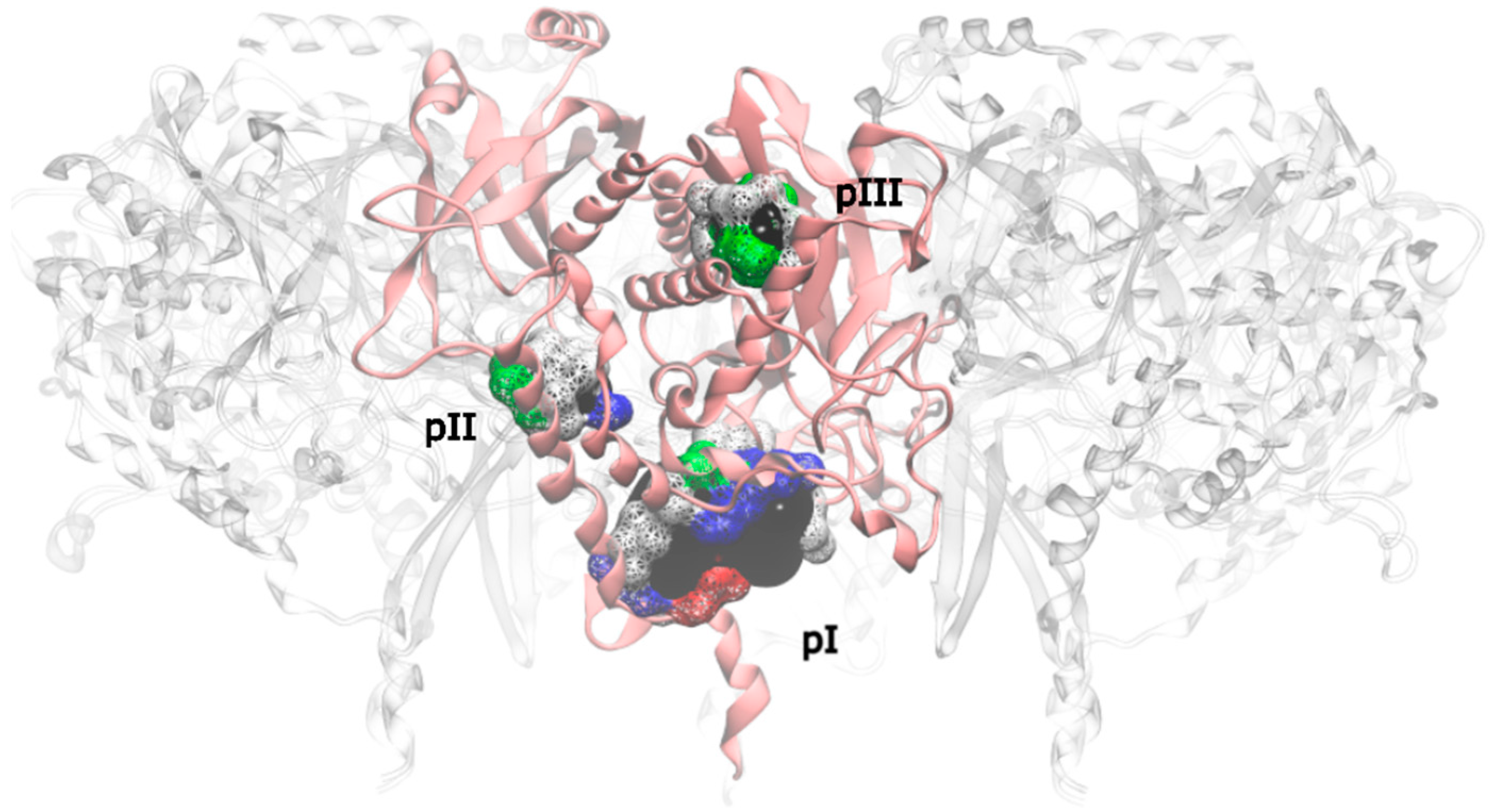 Molecules 21 01028 g005