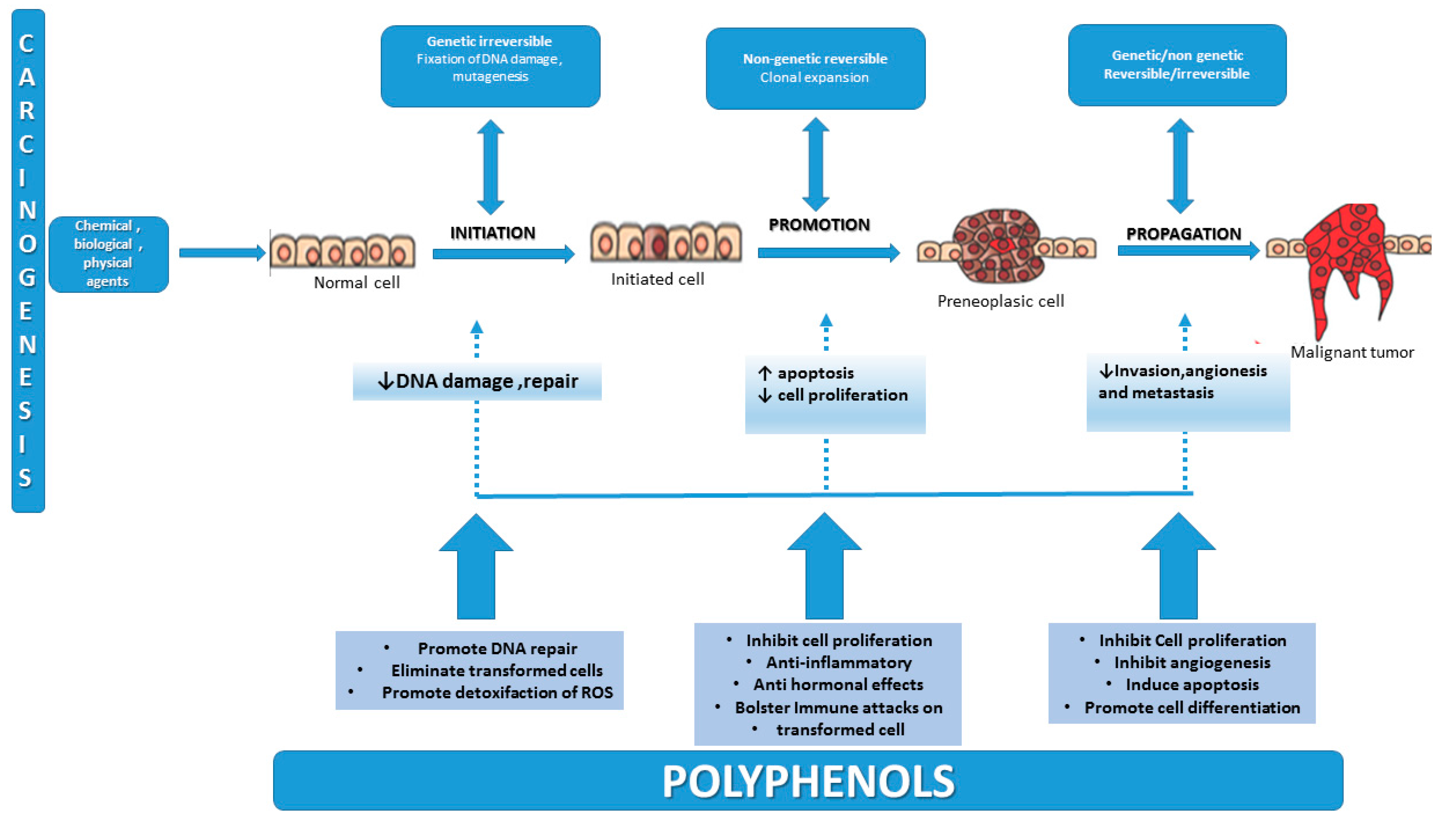Molecules 21 01055 g001