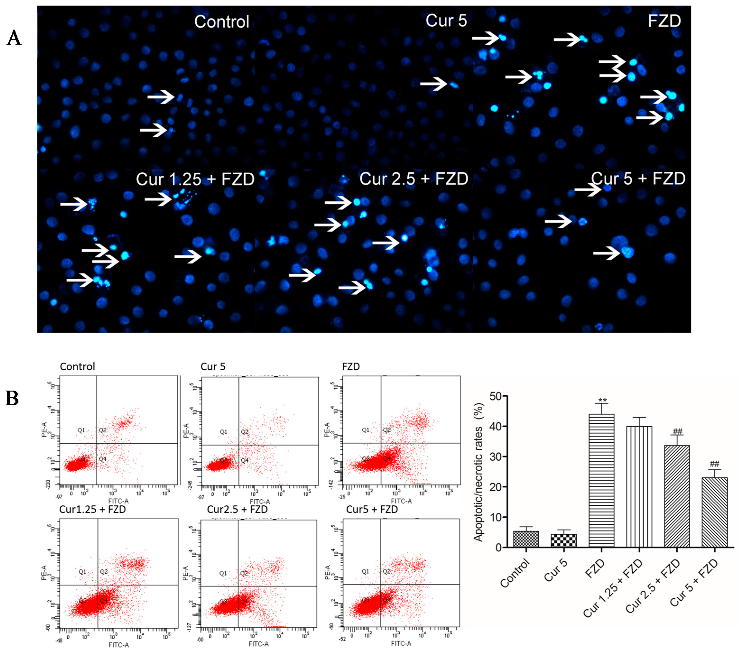 Molecules 21 01061 g005