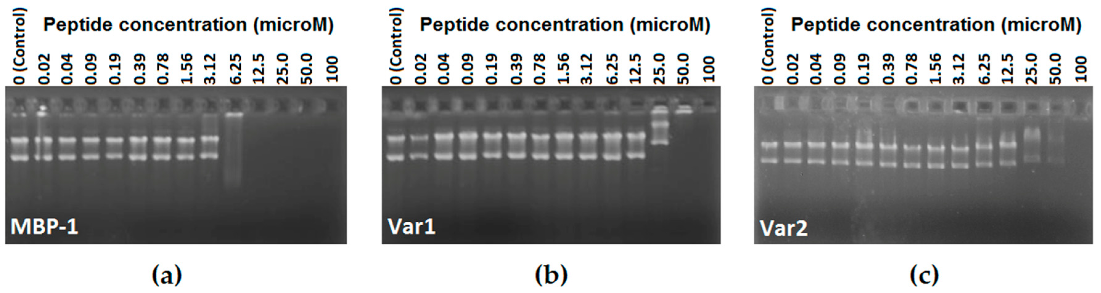 Molecules 21 01062 g001