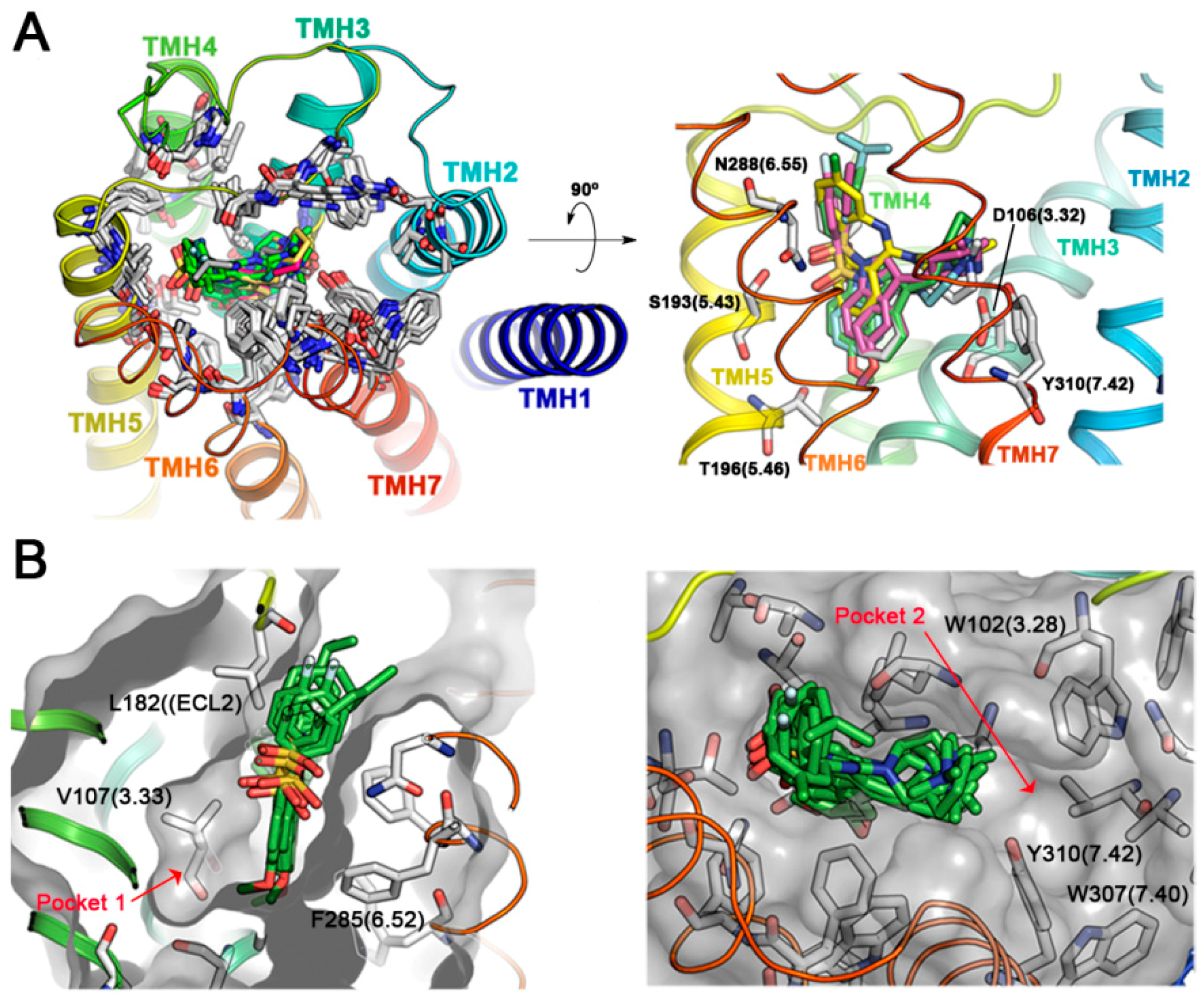 Molecules 21 01070 g002 550