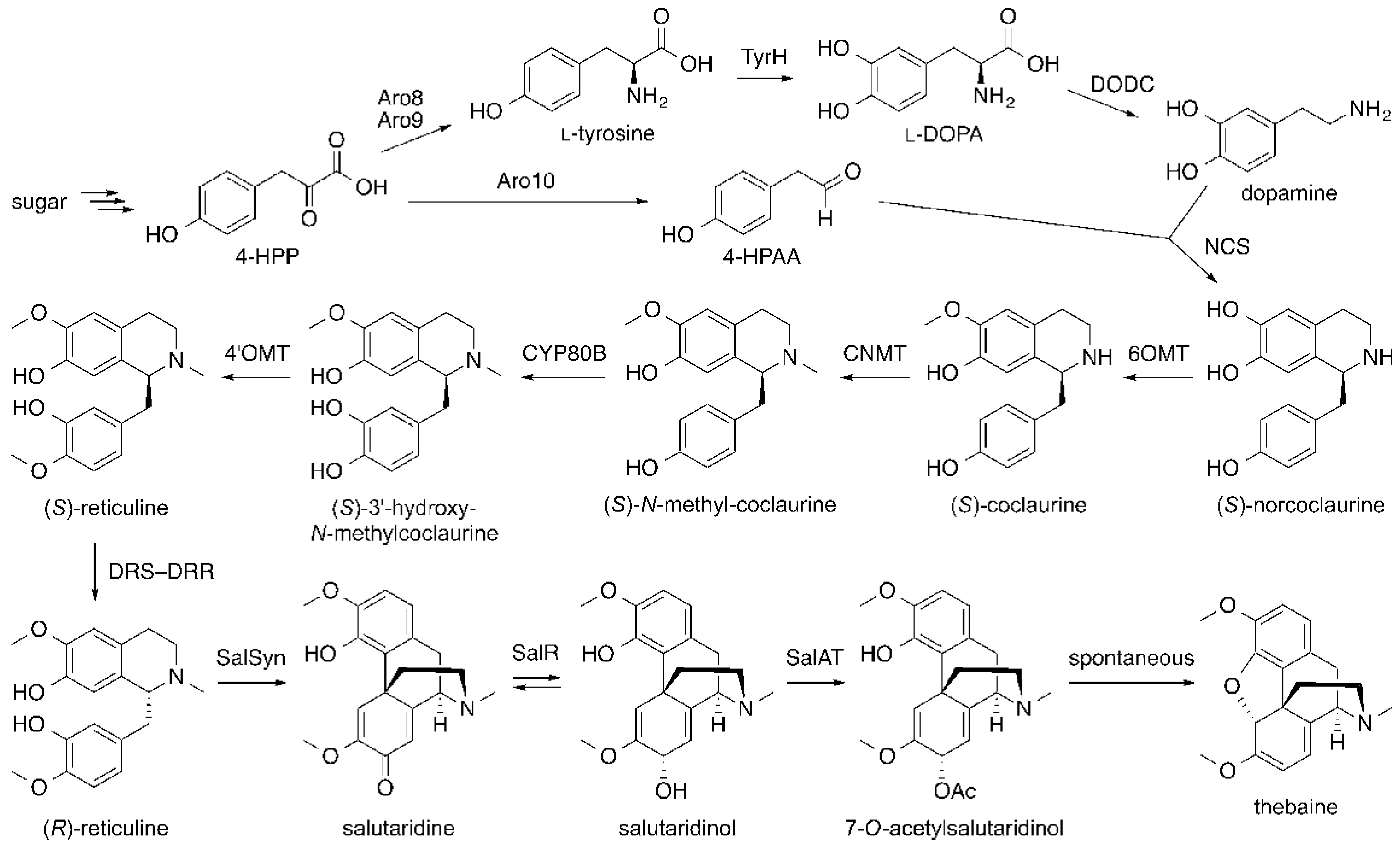 Molecules 21 01078 g015