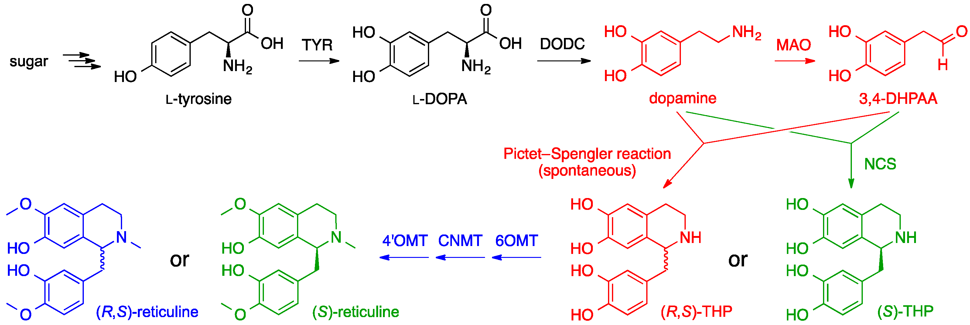 Molecules 21 01078 g016