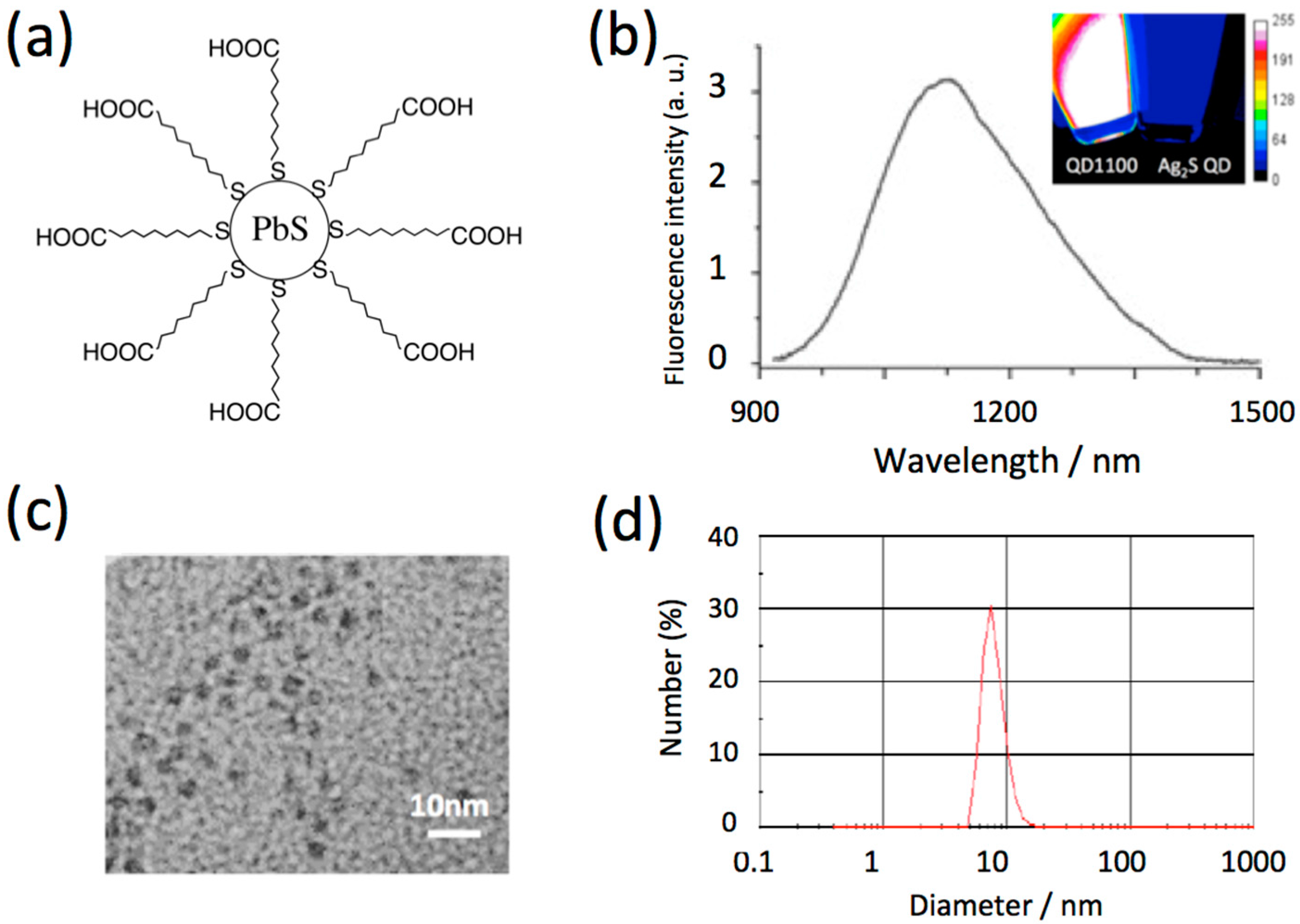 Molecules 21 01080 g001