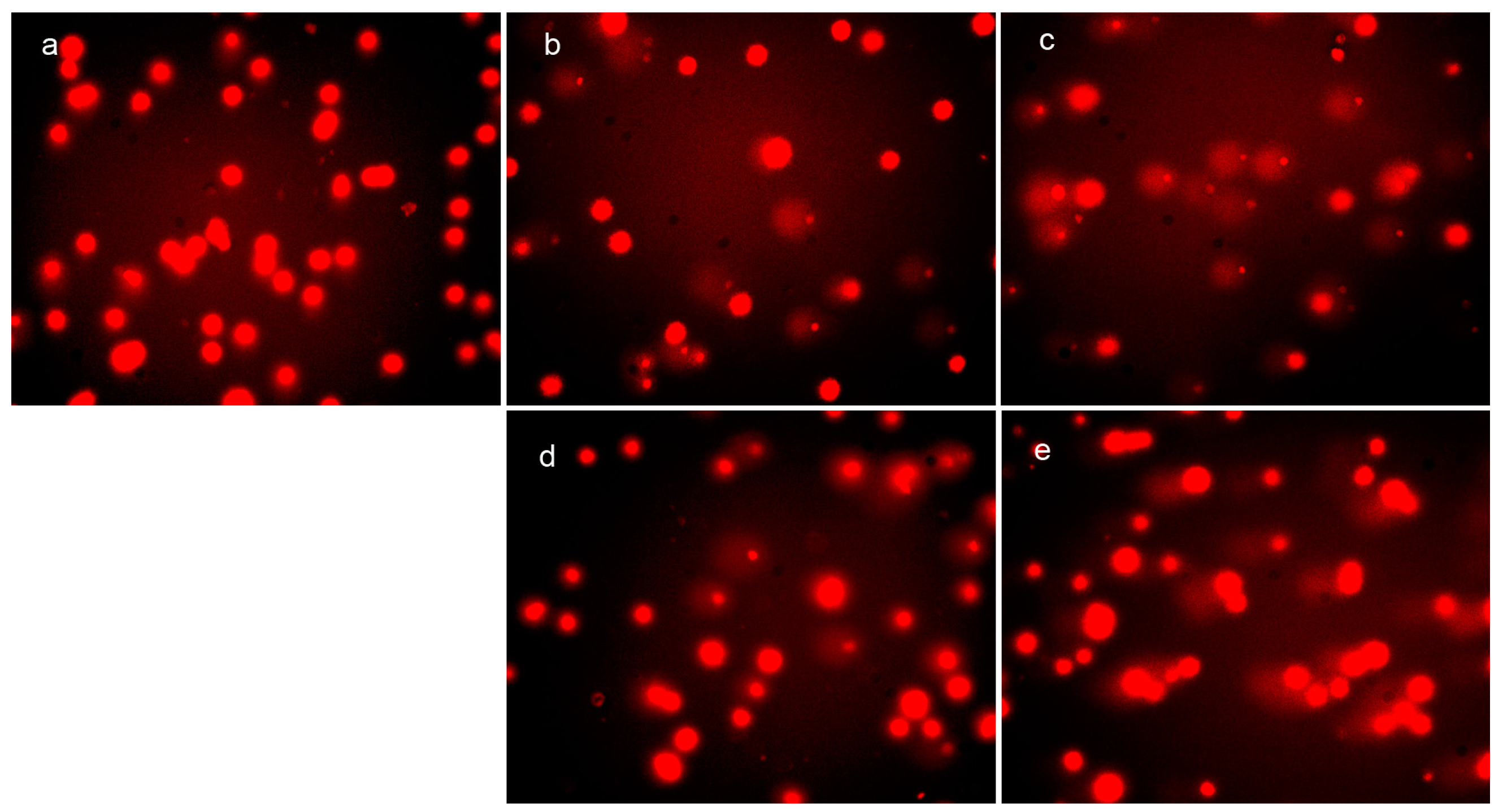 Molecules 21 01088 g005