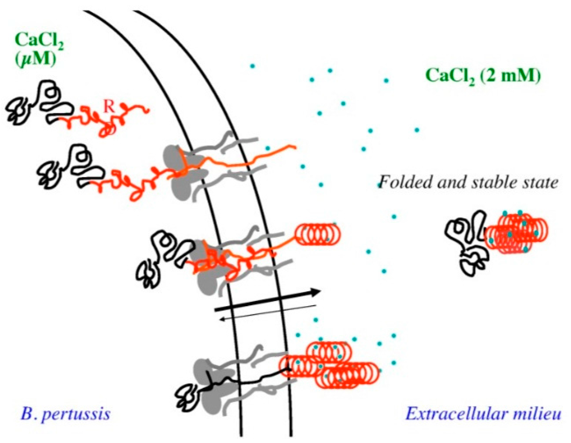Molecules 21 01090 g007
