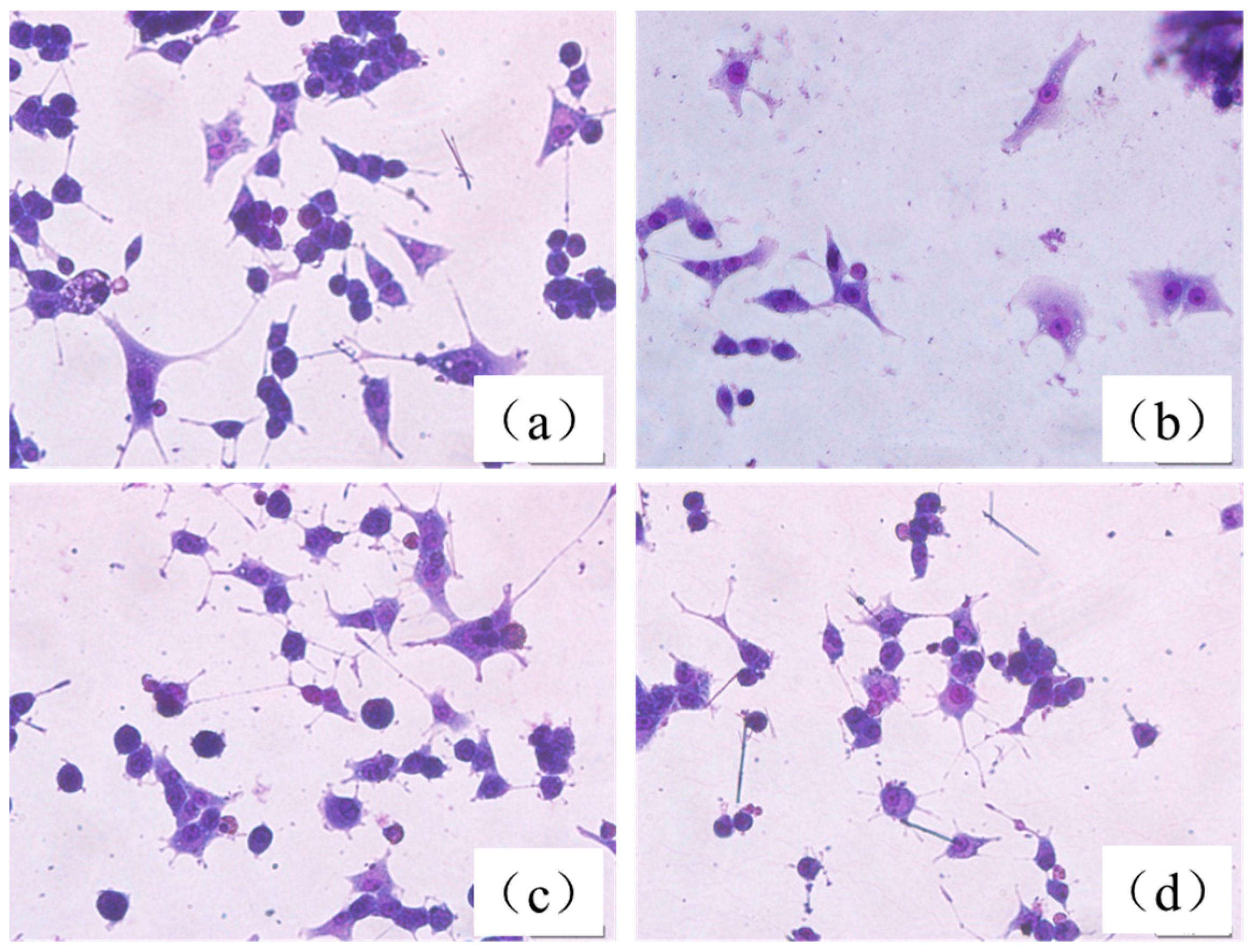 Molecules 21 01094 g008