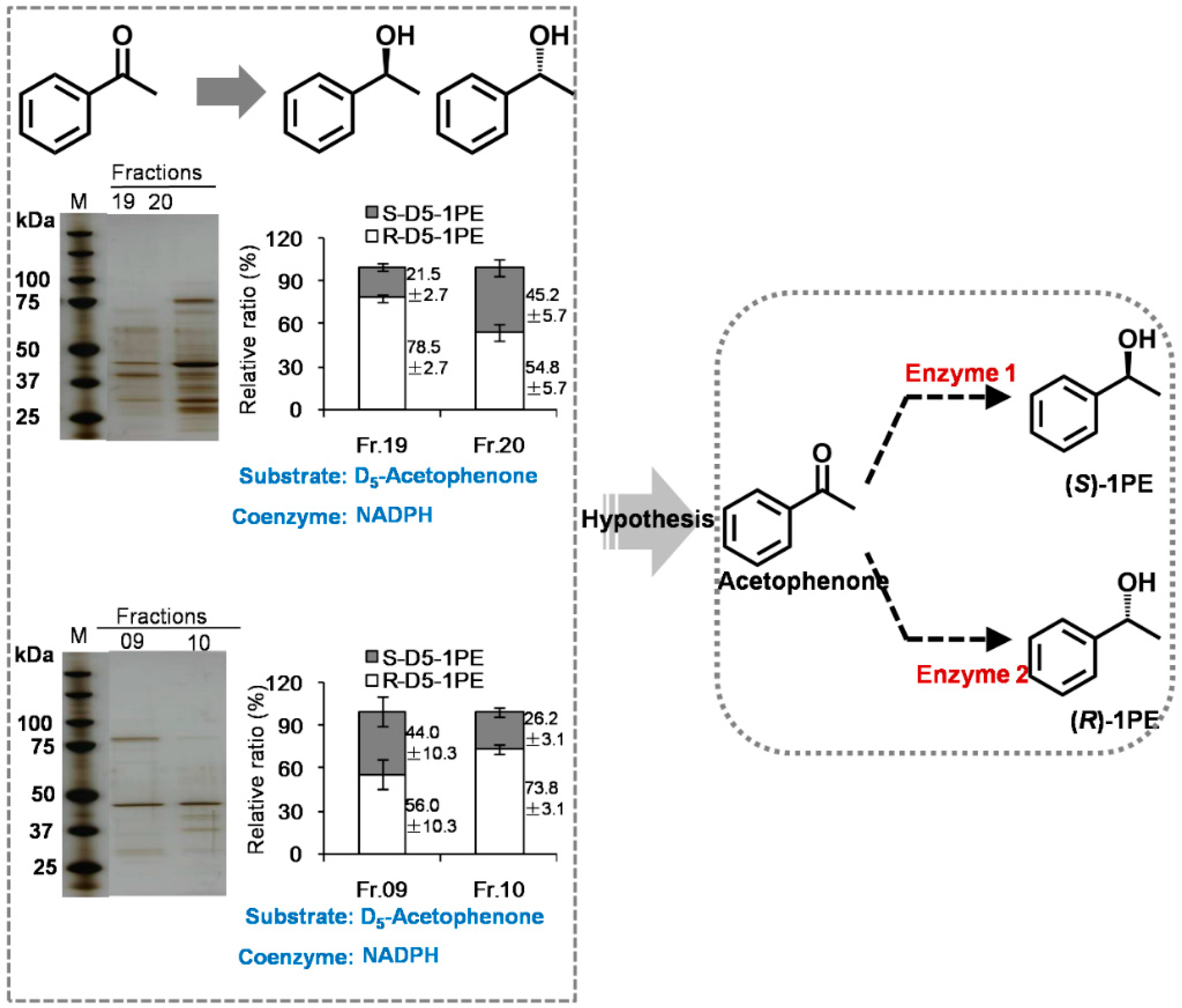 Molecules 21 01106 g002